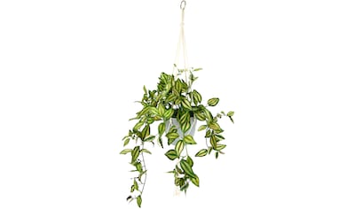 Creativ green Kunstranke »Philodendronhänger«, im Hängetopf bestellen | BAUR