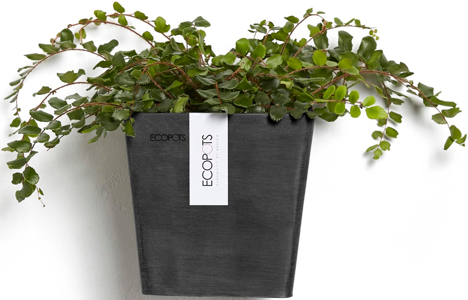ECOPOTS Blumentopf »Manhattan Wall 15 Dunkelgrau«, für innen und außen: frostsicher, bruchsicher und lichtbeständig