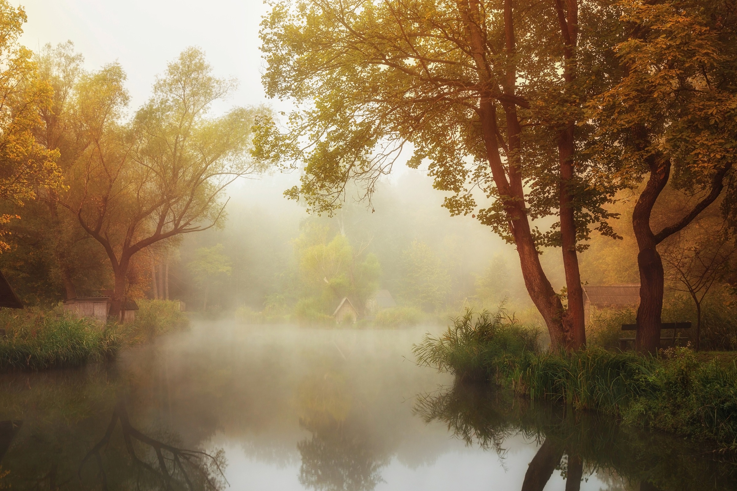 Fototapete »Photo-Art LEICHER OLIVER, NEBELIGER HERBST«