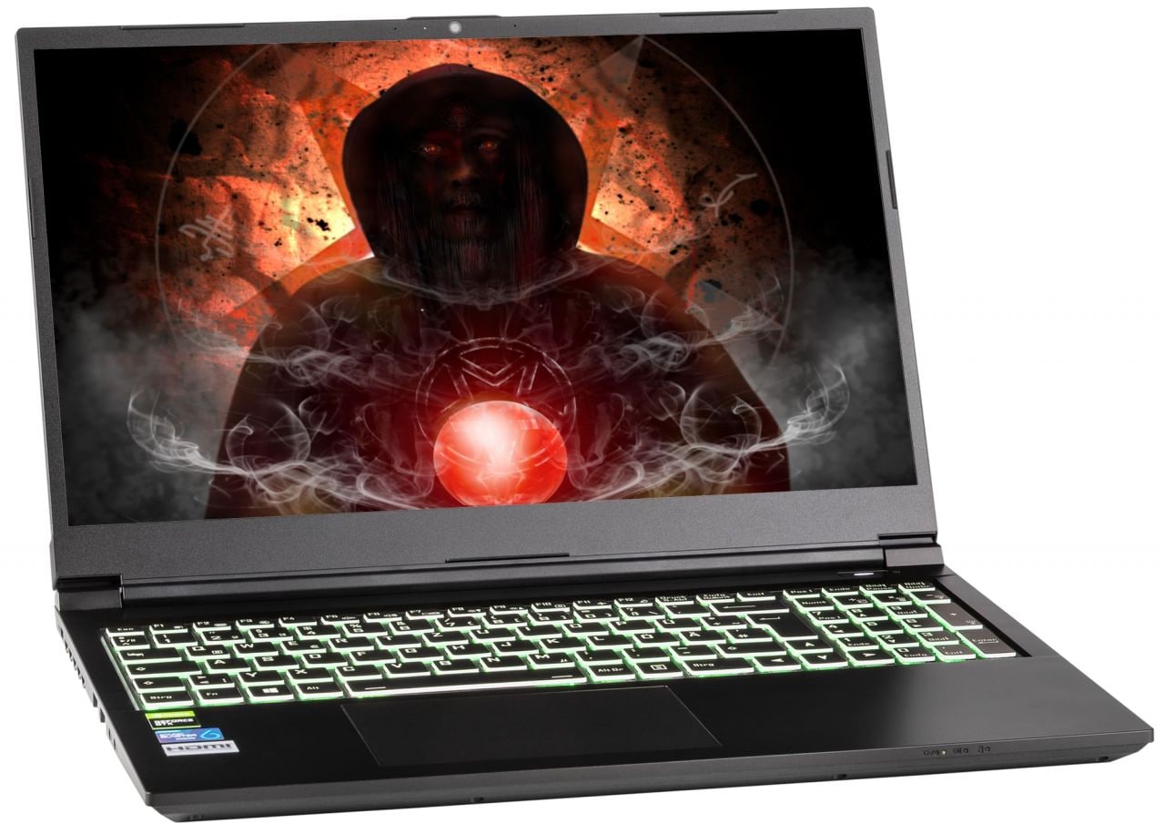 CAPTIVA Gaming-Notebook »Power Starter I61-930«, 39,6 cm, / 15,6 Zoll, Intel, Core i5, GeForce MX 350, 1000 GB SSD