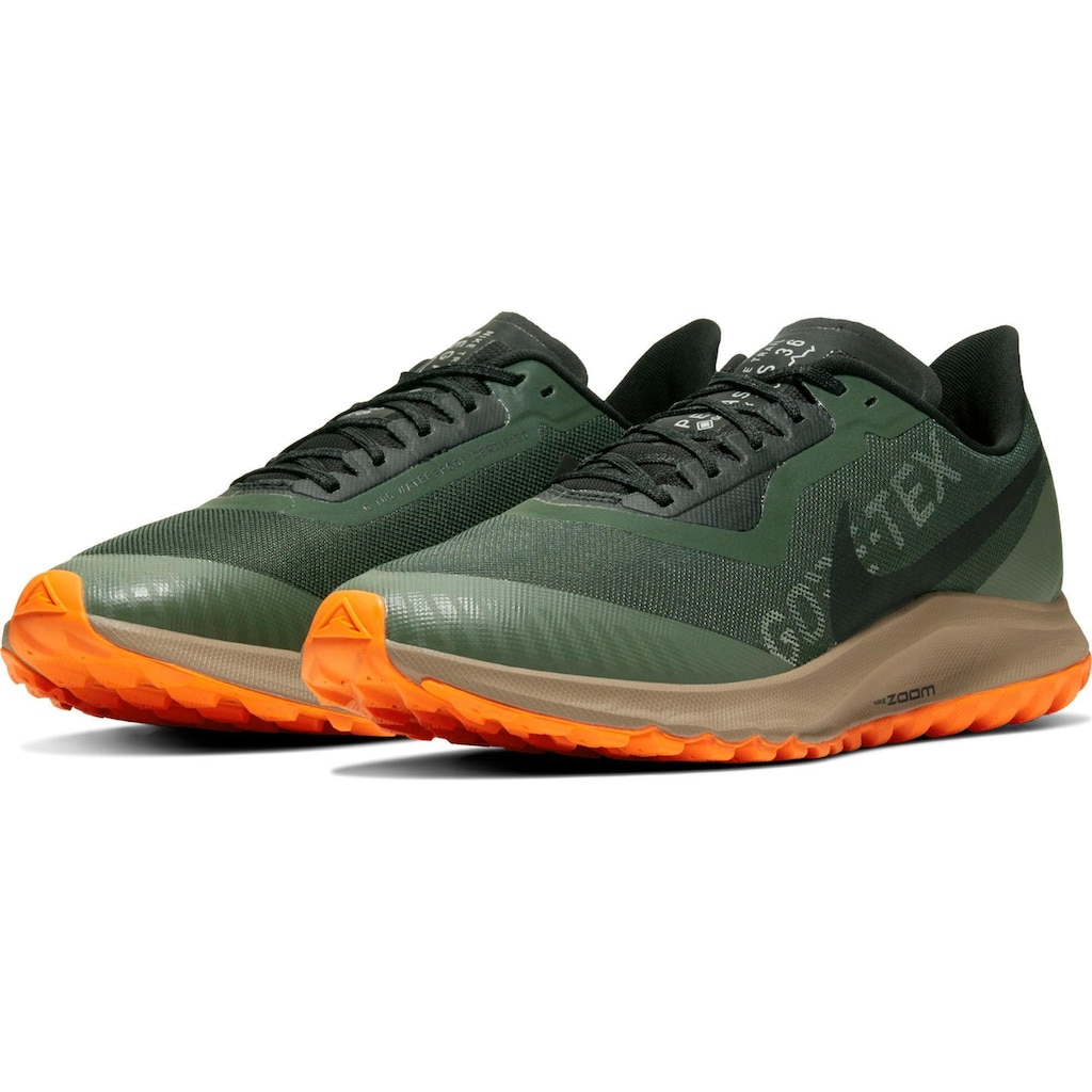 Nike Laufschuh »Pegasus 36 Trail GORE-TEX«