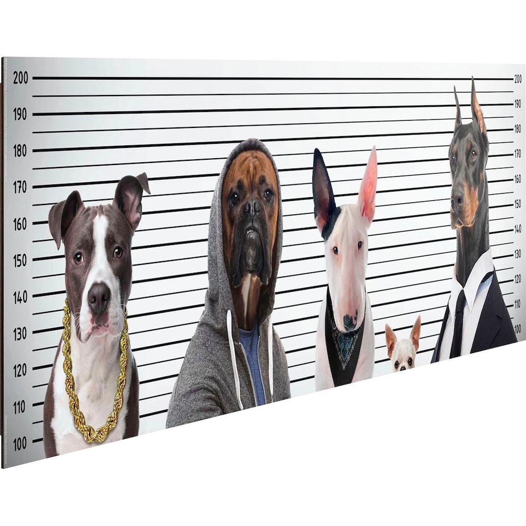 Home affaire Deco-Panel »Most Wanted Dogs«