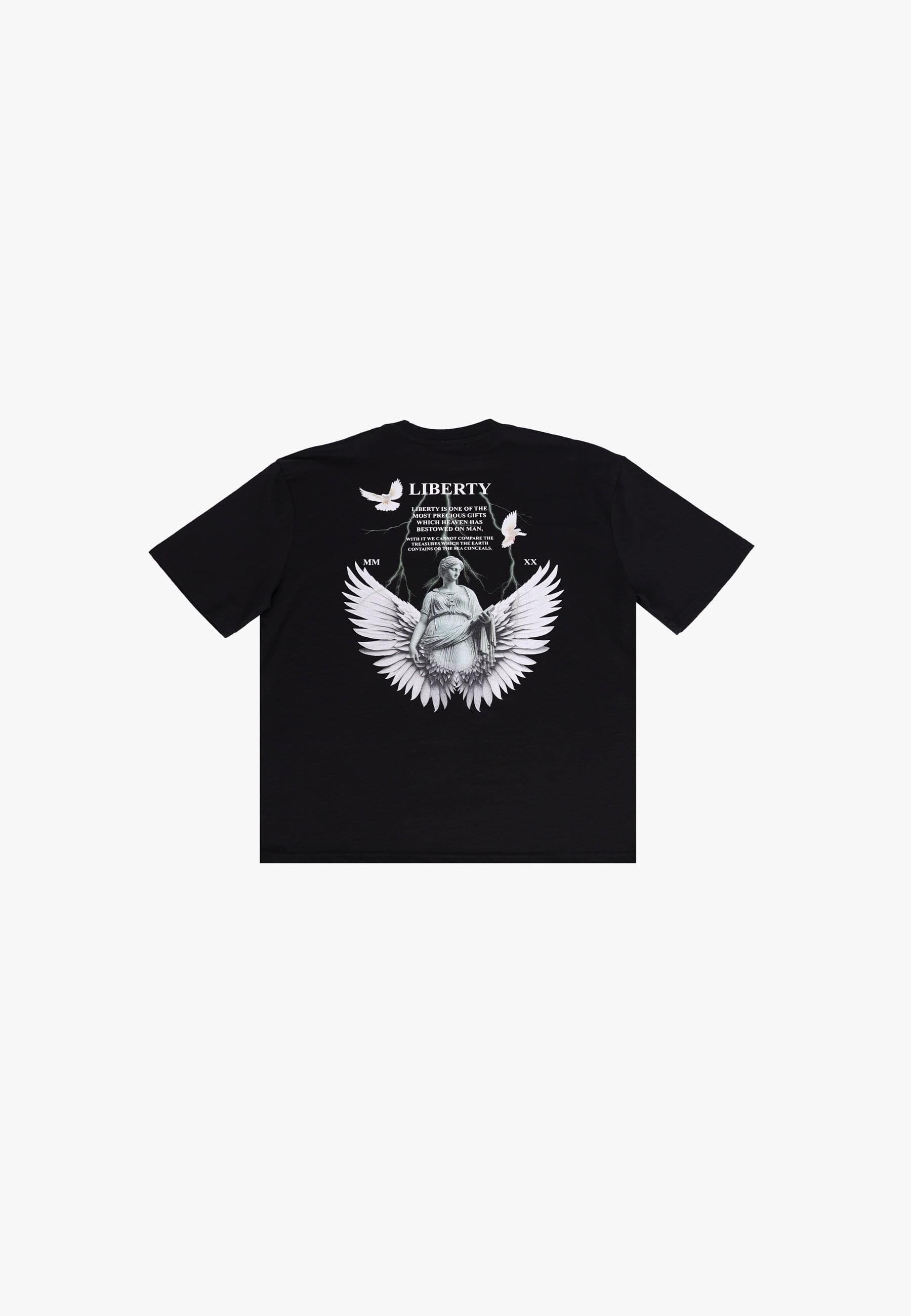 Dropsize T-Shirt "Dropsize HEAVY OVERSIZED STATUE LIBERTY T-SHIRT" 1 Stk. günstig online kaufen