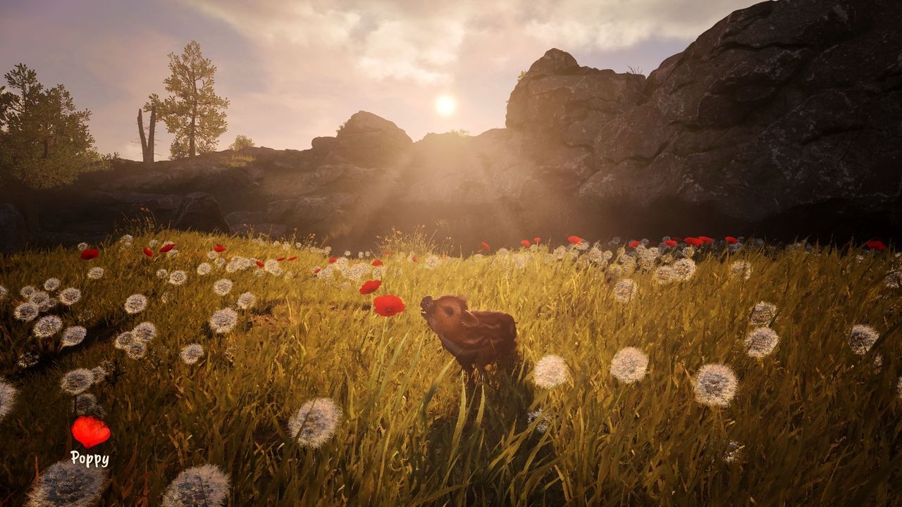 PQube Spielesoftware »Adorable Adventures« PlayStation 5