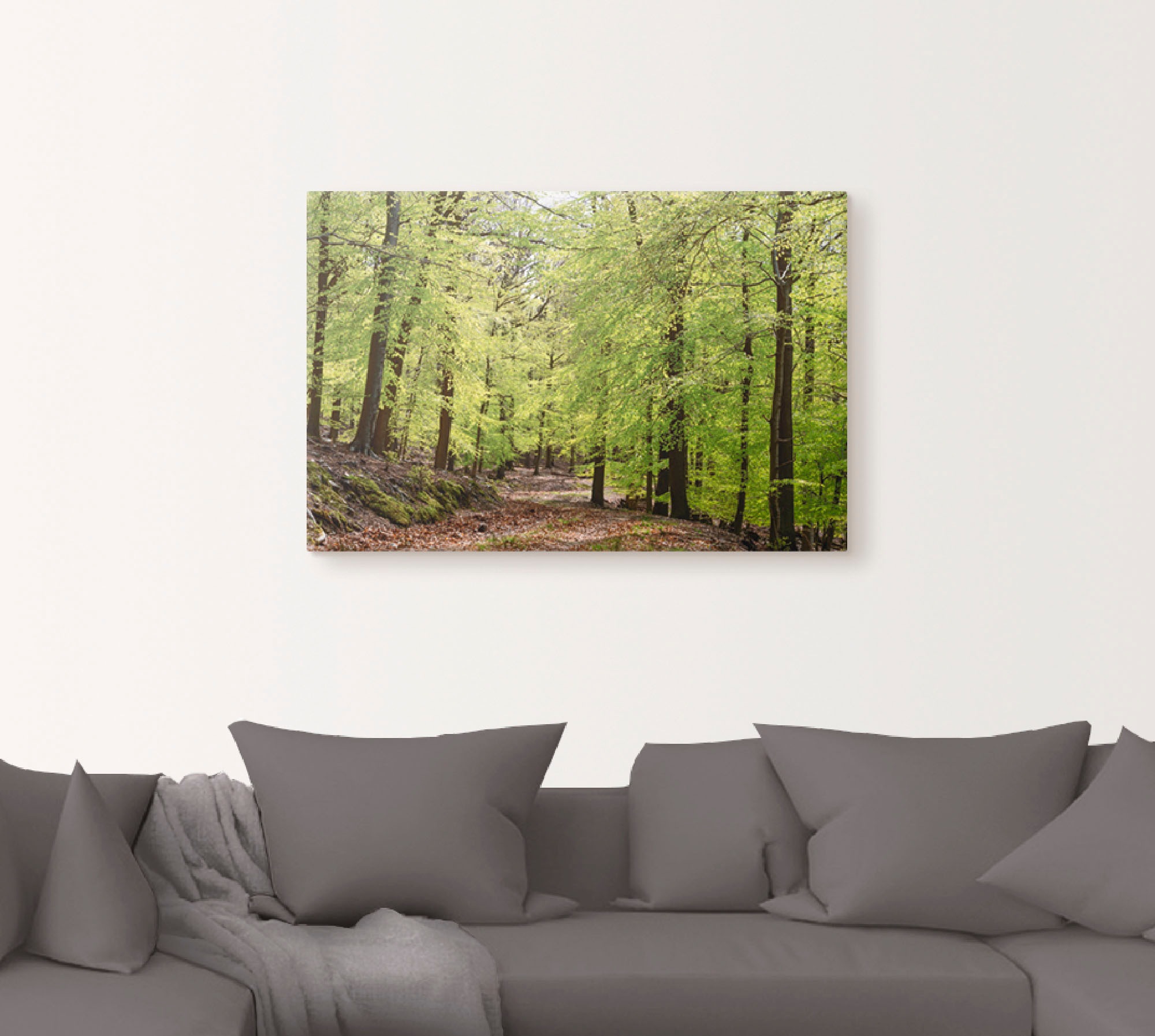 Artland Wandbild »Die Buchen im Frühling«, Wald, (1 St.), als Alubild, Outdoorbild, Leinwandbild, Poster, Wandaufkleber