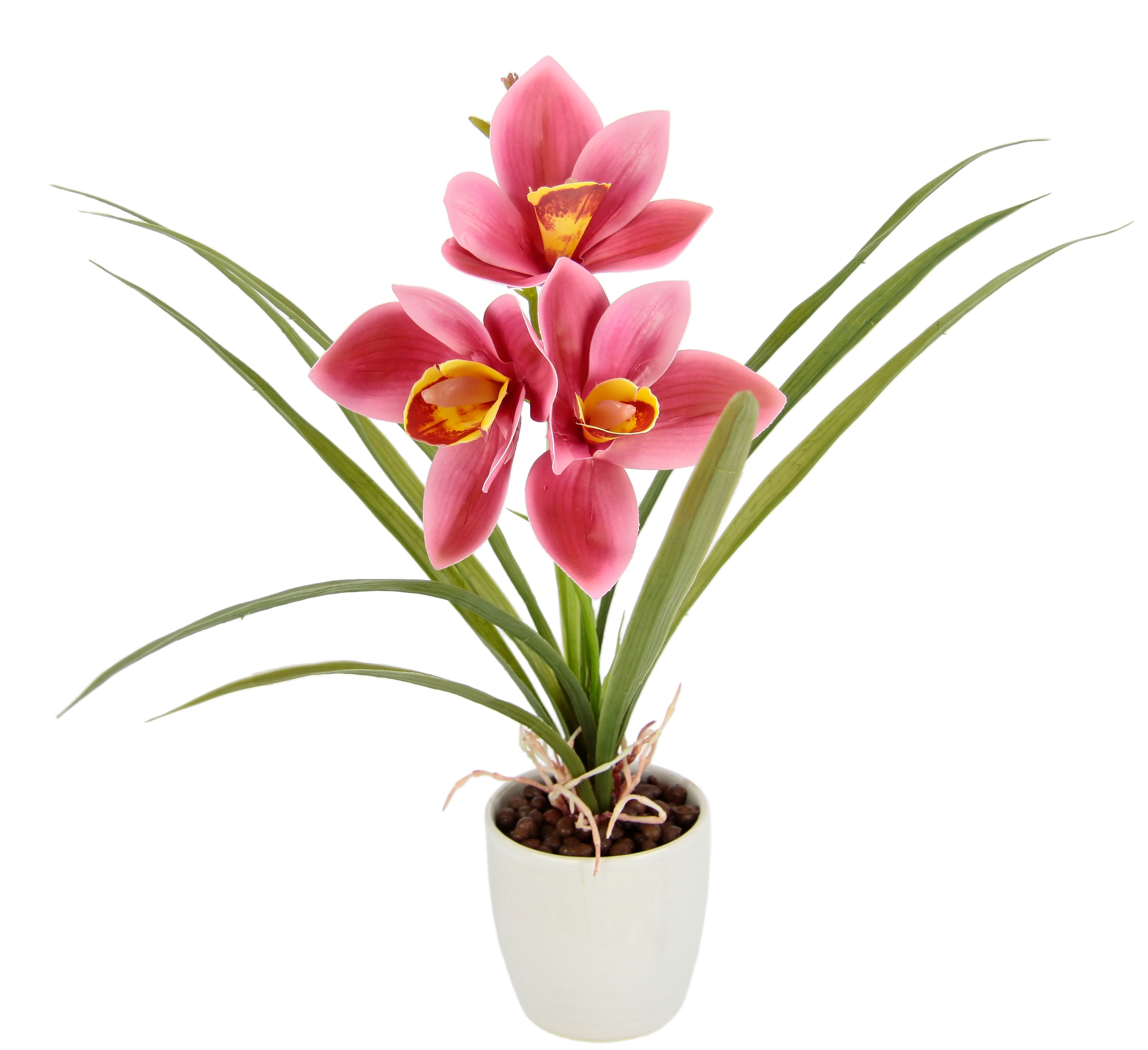 OTTO home Kunstblume "Orchidee" Mit Blätter im Topf aus Keramik Künstliche Blume Cymbidium-Orchidee