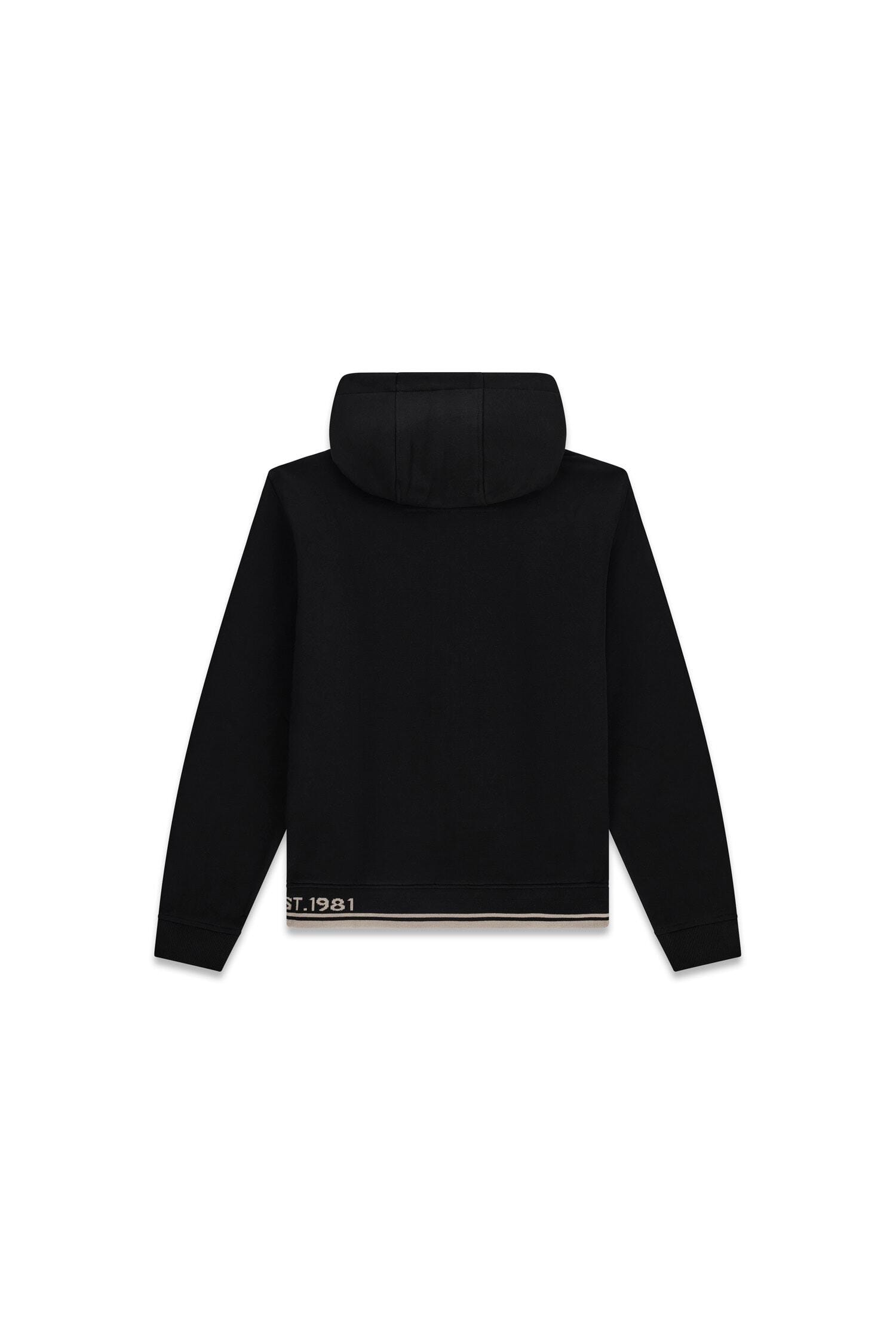 Guess Kapuzensweatjacke Kapuze mit Kordelzug, Regular Fit, Baumwoll-Mix