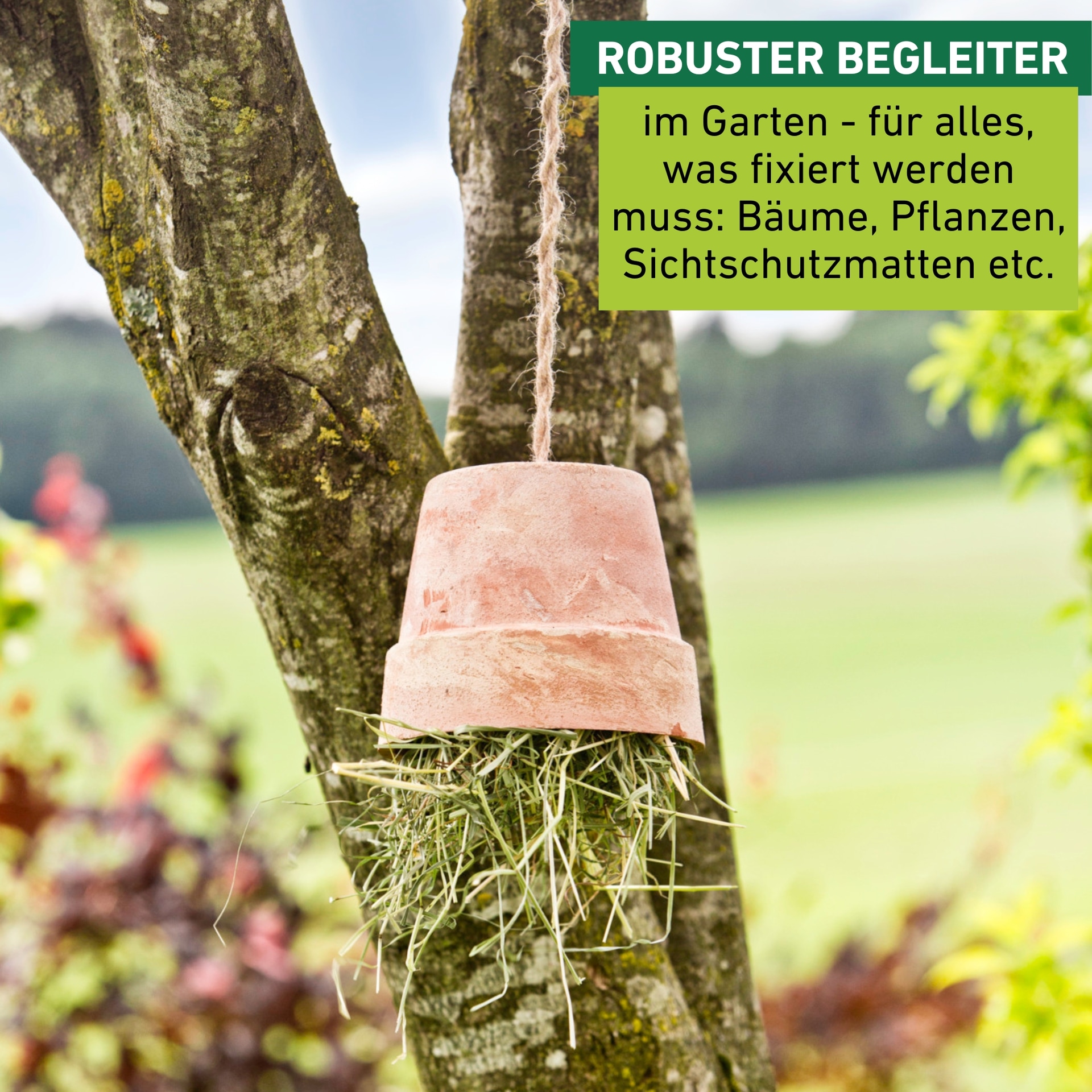 Windhager Pflanzschnur »Jute-Schnur, Garn zur Befestigen von Pflanzen« 1 Stk. tlg. Vliesen und Matten, erhältlich in 1,5 mm x 170 m oder 4 mm x 50 m
