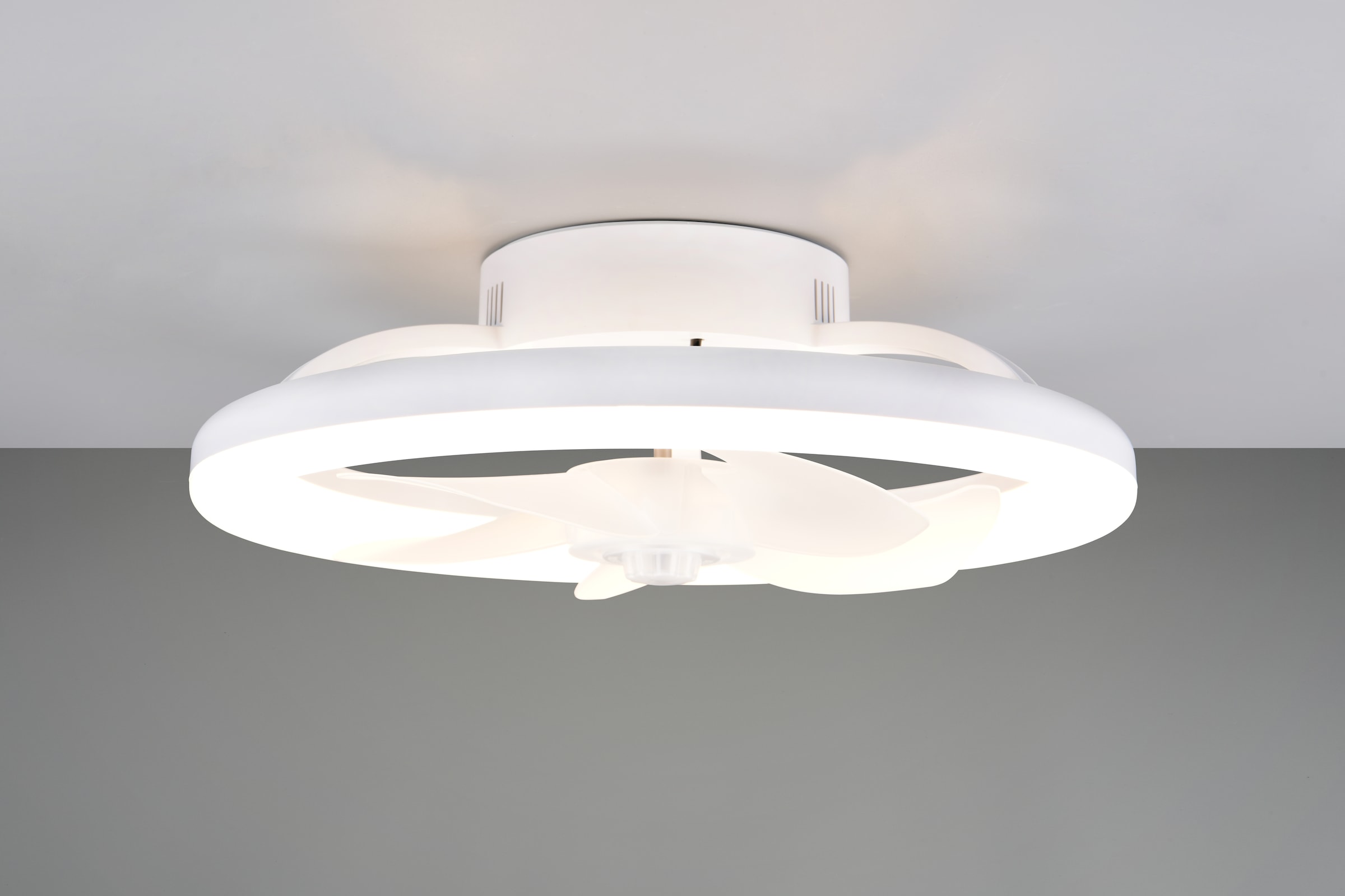 REALITY Leuchten LED Deckenleuchte »PAJALA mit Ventilator, Deckenventilator mit Licht, 22W LED CCT Ø 40cm« LED-Board 1 Stk. Farbwechsler | warmweiß - kaltweiß Fernbedienung 3 Geschwindigkeiten Timer Vor- & Rücklauf dimmbar