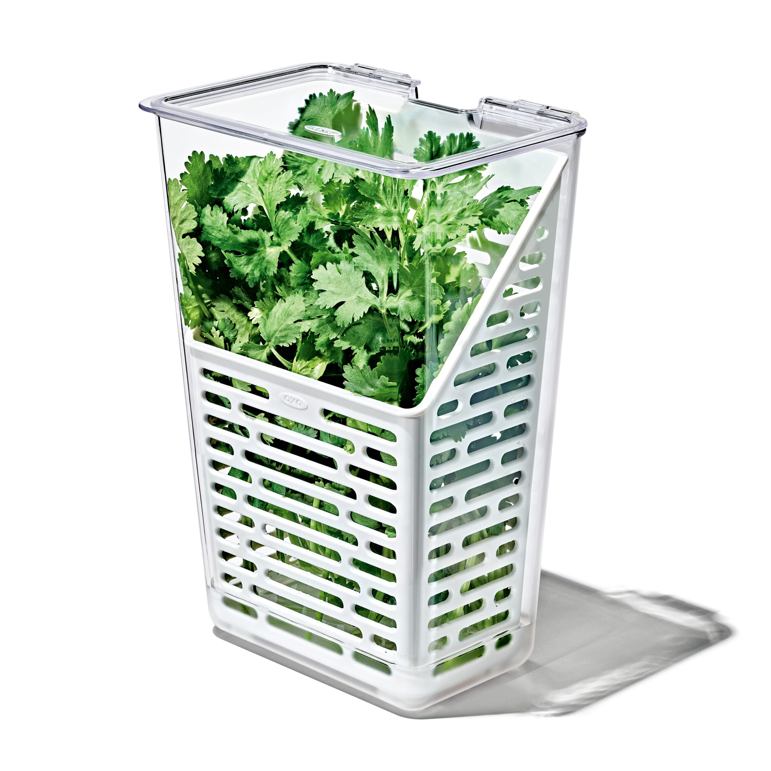 OXO Good Grips Aufbewahrungsbox "OXO Frischhaltebox - Kräuteraufbewahrung"
