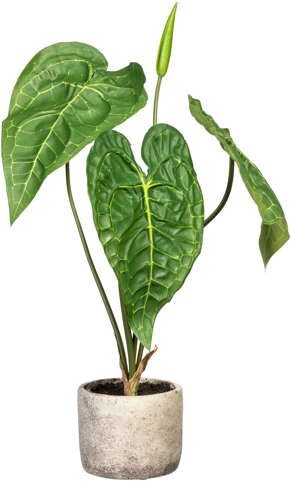 Creativ green Künstliche Zimmerpflanze "Anthurie", im Zementtopf