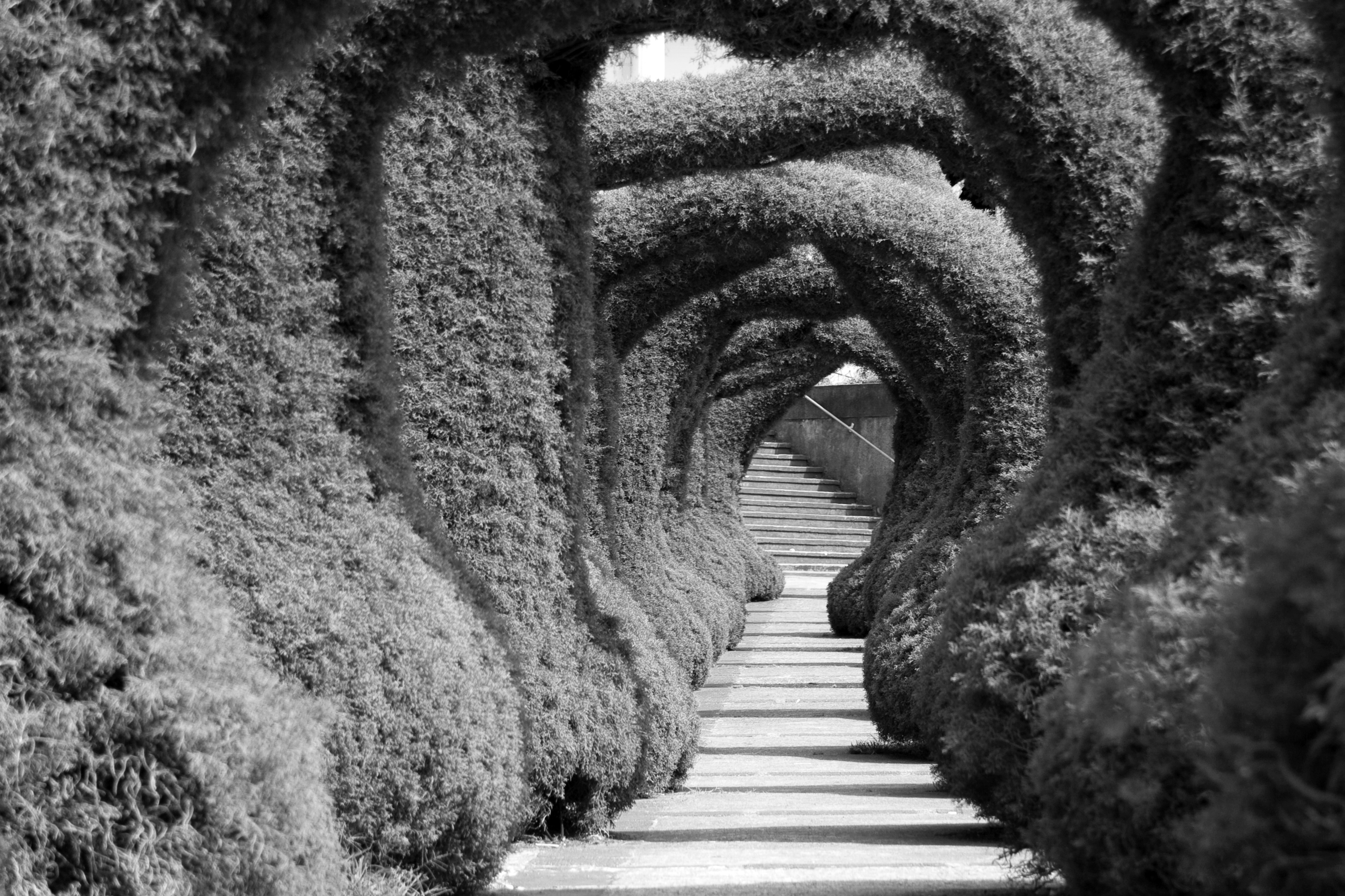 Papermoon Fototapete "Treppe Schwarz & Weiß"