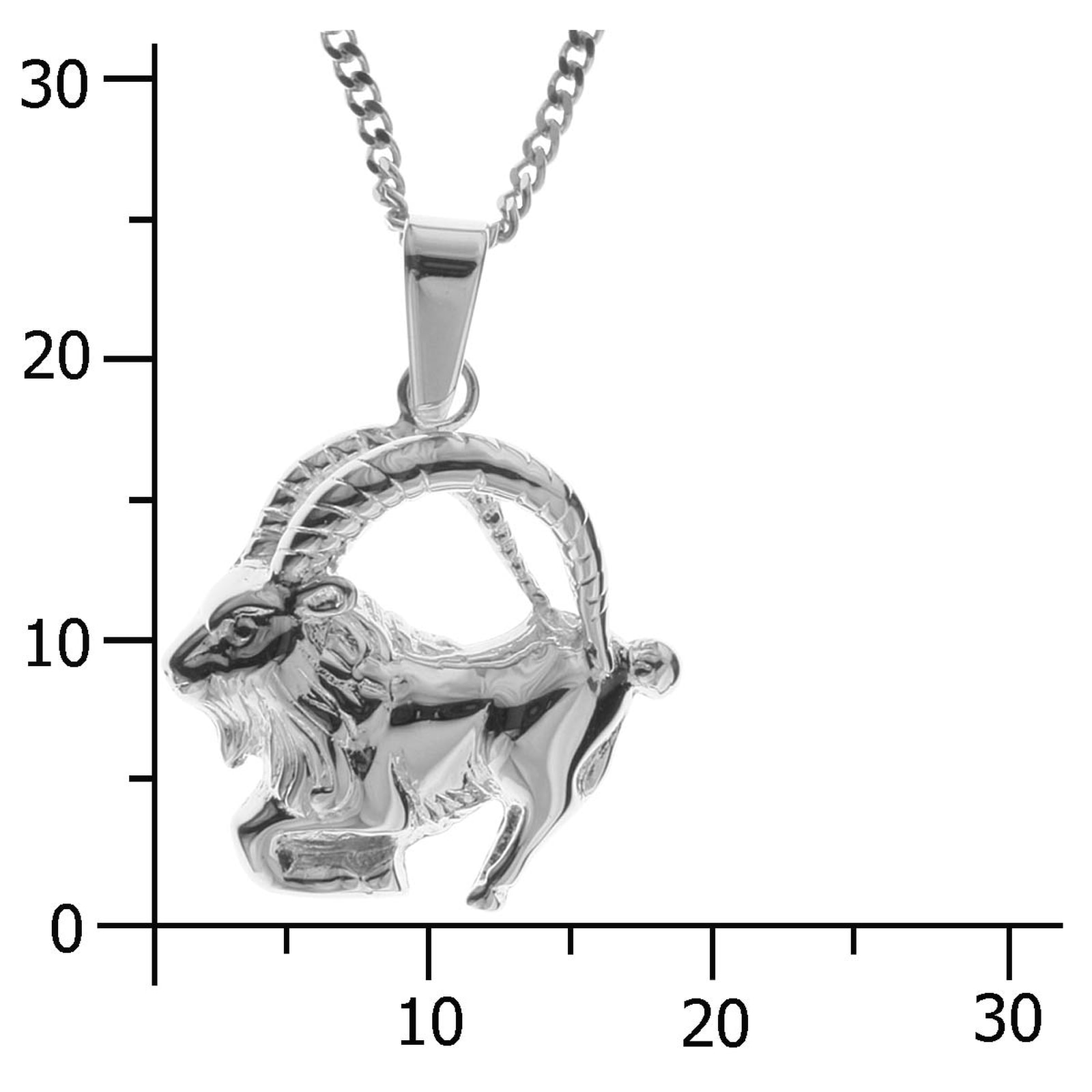 OSTSEE-SCHMUCK Kette mit Anhänger »Ostsee-Schmuck Kette mit Anhänger Tierkreiszeichen Steinbock«
