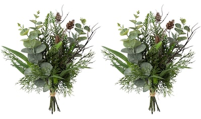Eukalyptus Pflanzen bestellen ▷ Für Innen & Außen | BAUR | Kunstpflanzen