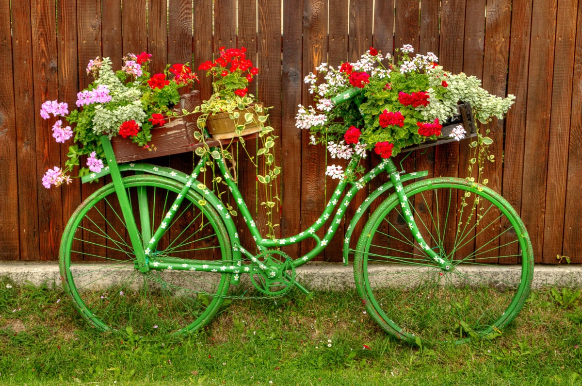 Papermoon Fototapetas »Vintage Fahrrad«