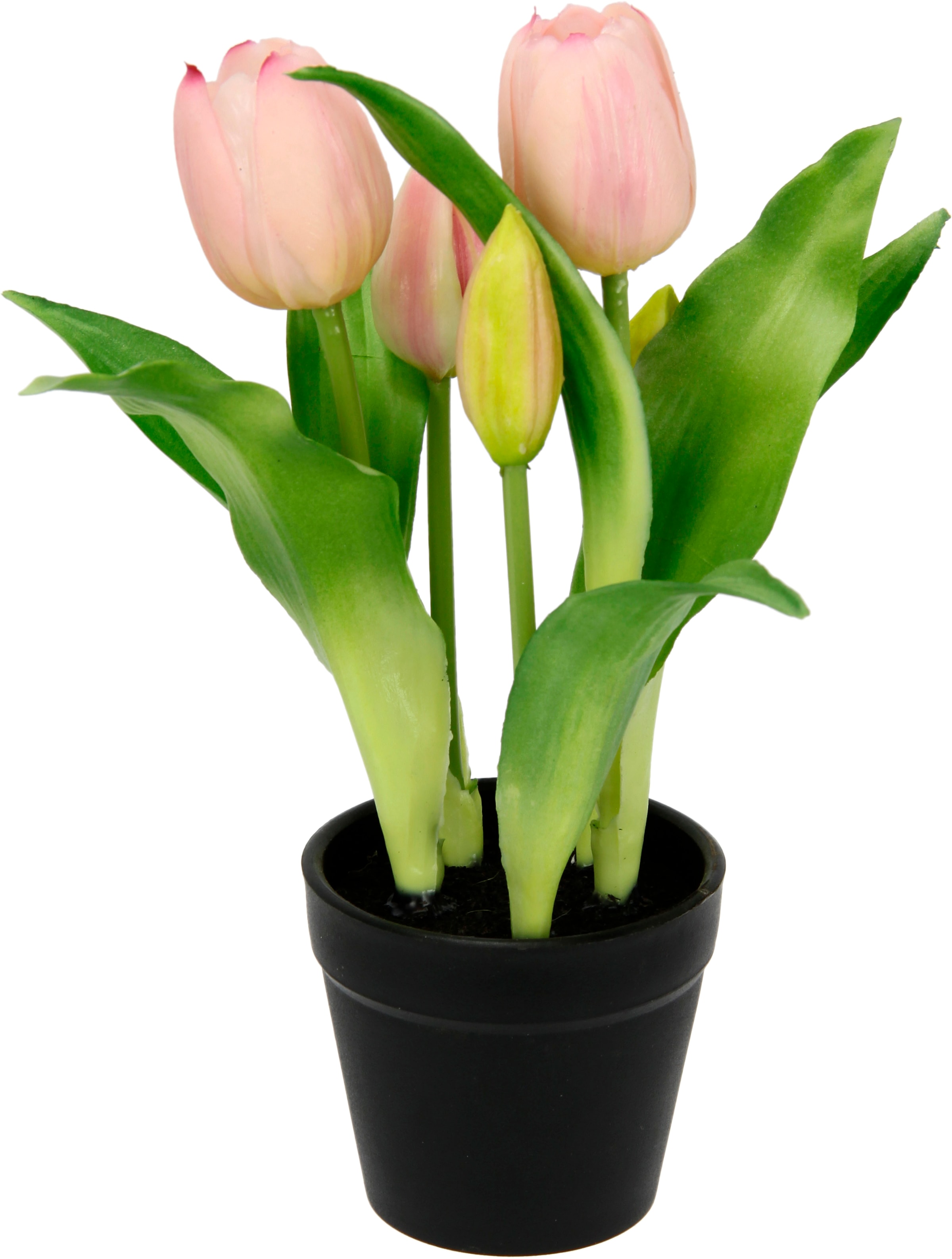 I.GE.A. Kunstblume "Tulpen" Real-Touch Blüten Tulpe Tulpenstrauß Latex Kuns günstig online kaufen