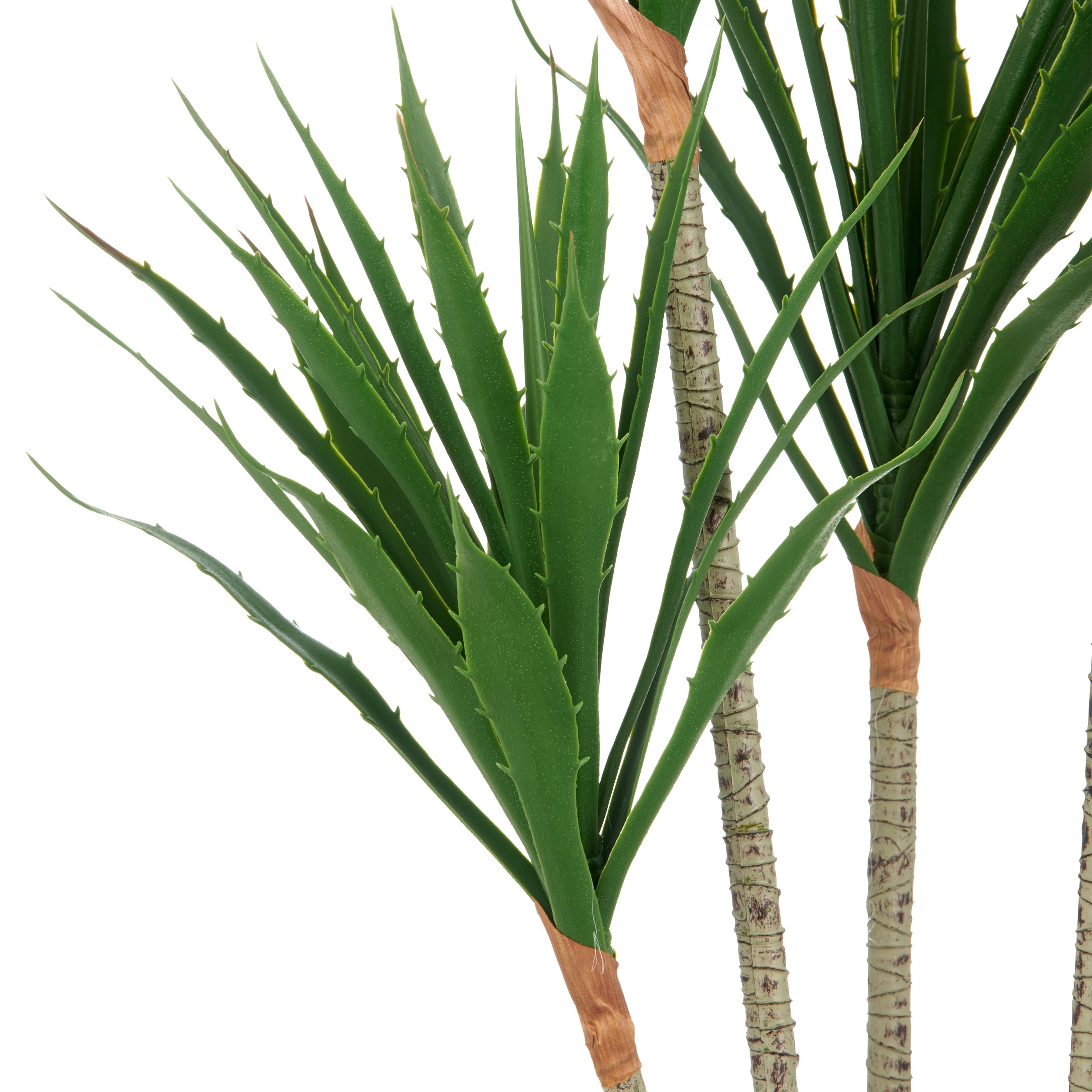 Creativ green Kunstpflanze »Agave«, mit 5 Stämmen