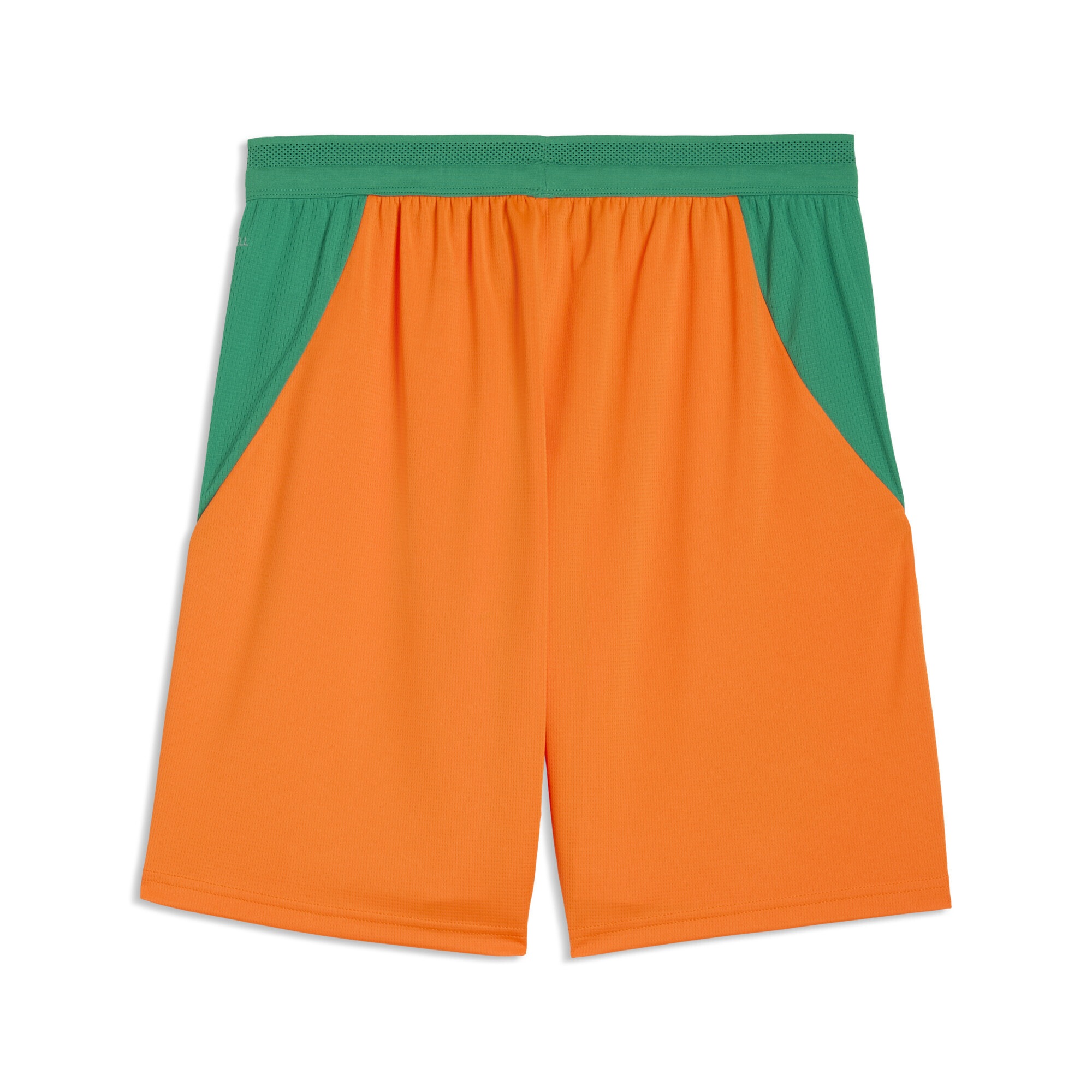 PUMA Sporthose »Elfenbeinküste Shorts Herren«