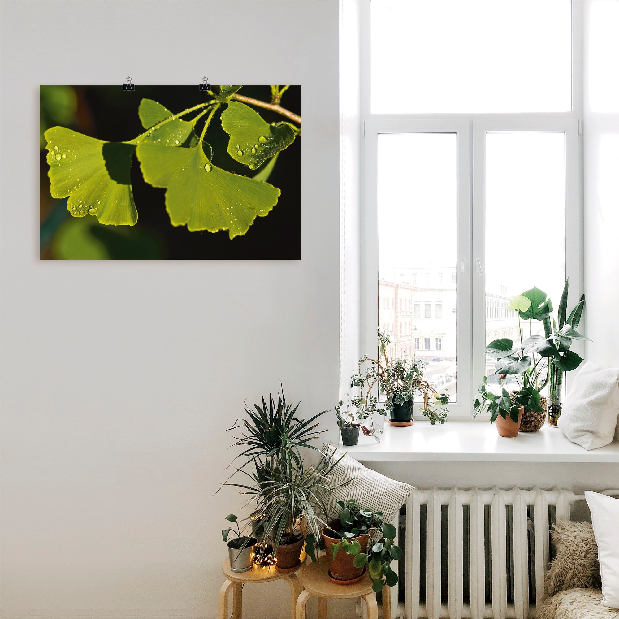 Artland Wandbild »Ginkgo Blätter«, Blätter, (1 St.), als Alubild, Outdoorbild, Poster in verschied. Größen