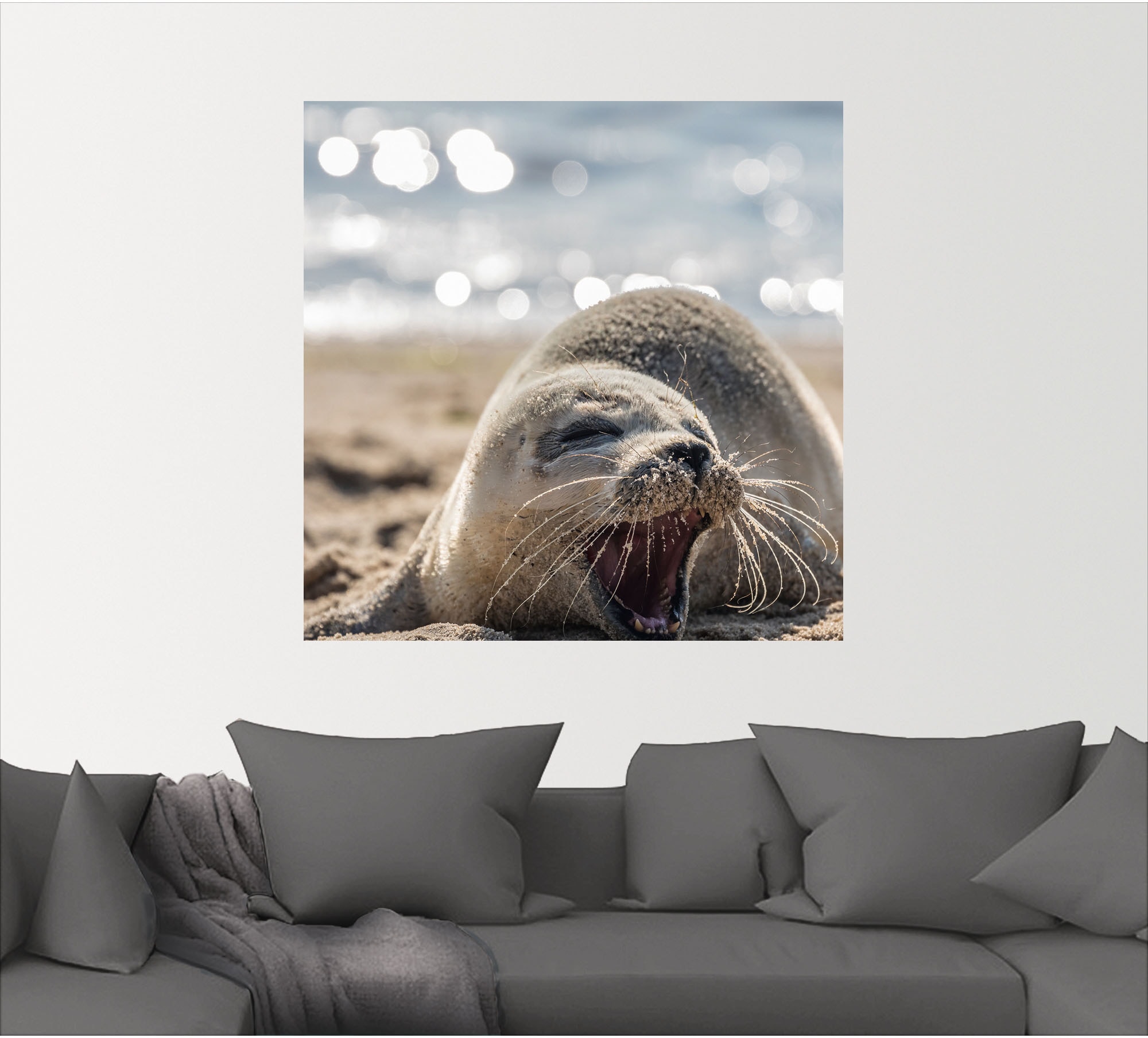 Artland Wandbild »Baby-Robbe am Strand von List, Sylt«, Robben, (1 St.),  als Alubild, Leinwandbild, Wandaufkleber oder Poster in versch. Größen  kaufen | BAUR