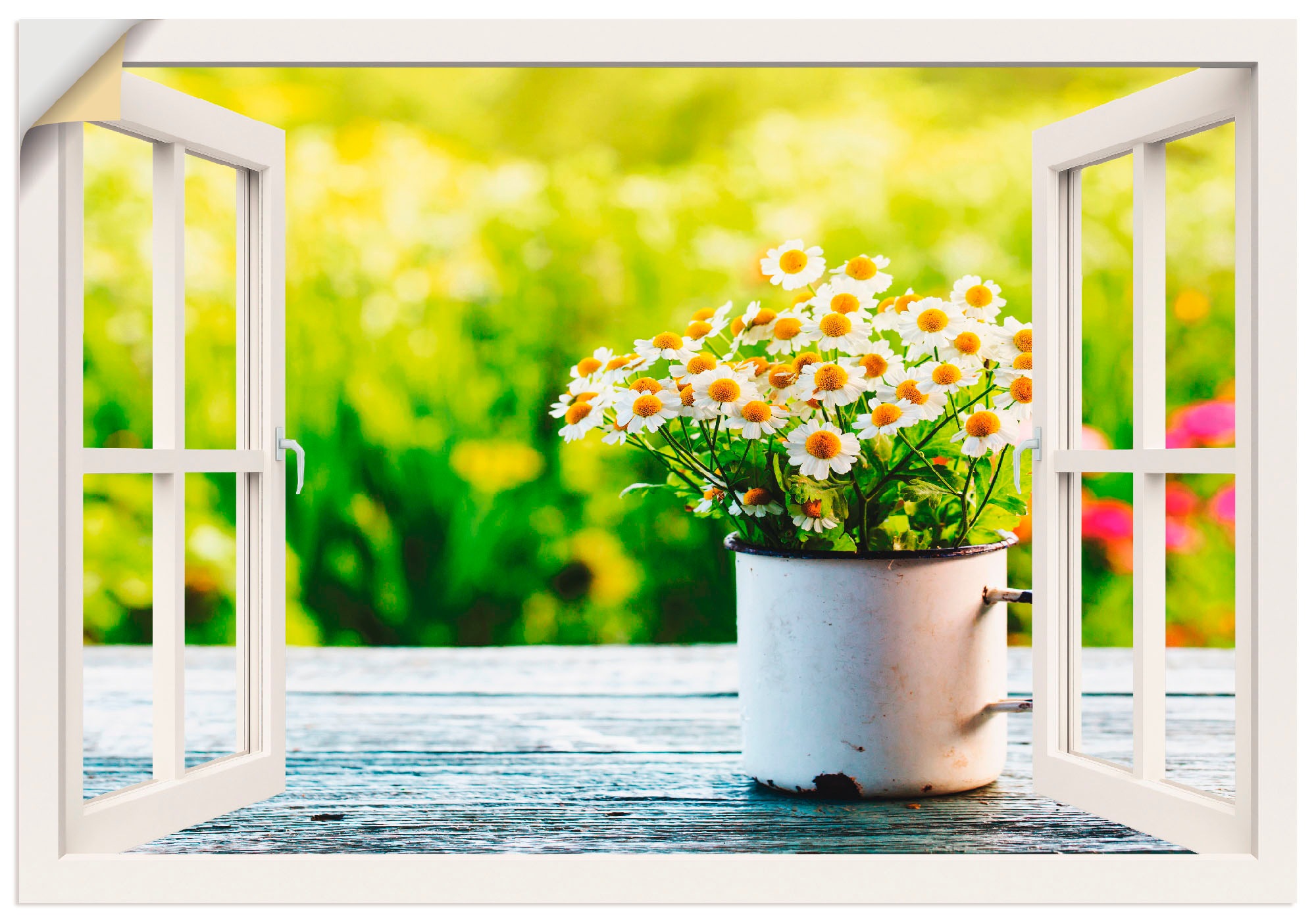 Wandbild Alubild, mit als (1 BAUR Wandaufkleber Leinwandbild, Poster Artland | »Fensterblick Gänseblümchen«, Größen St.), versch. Blumen, bestellen in Garten oder