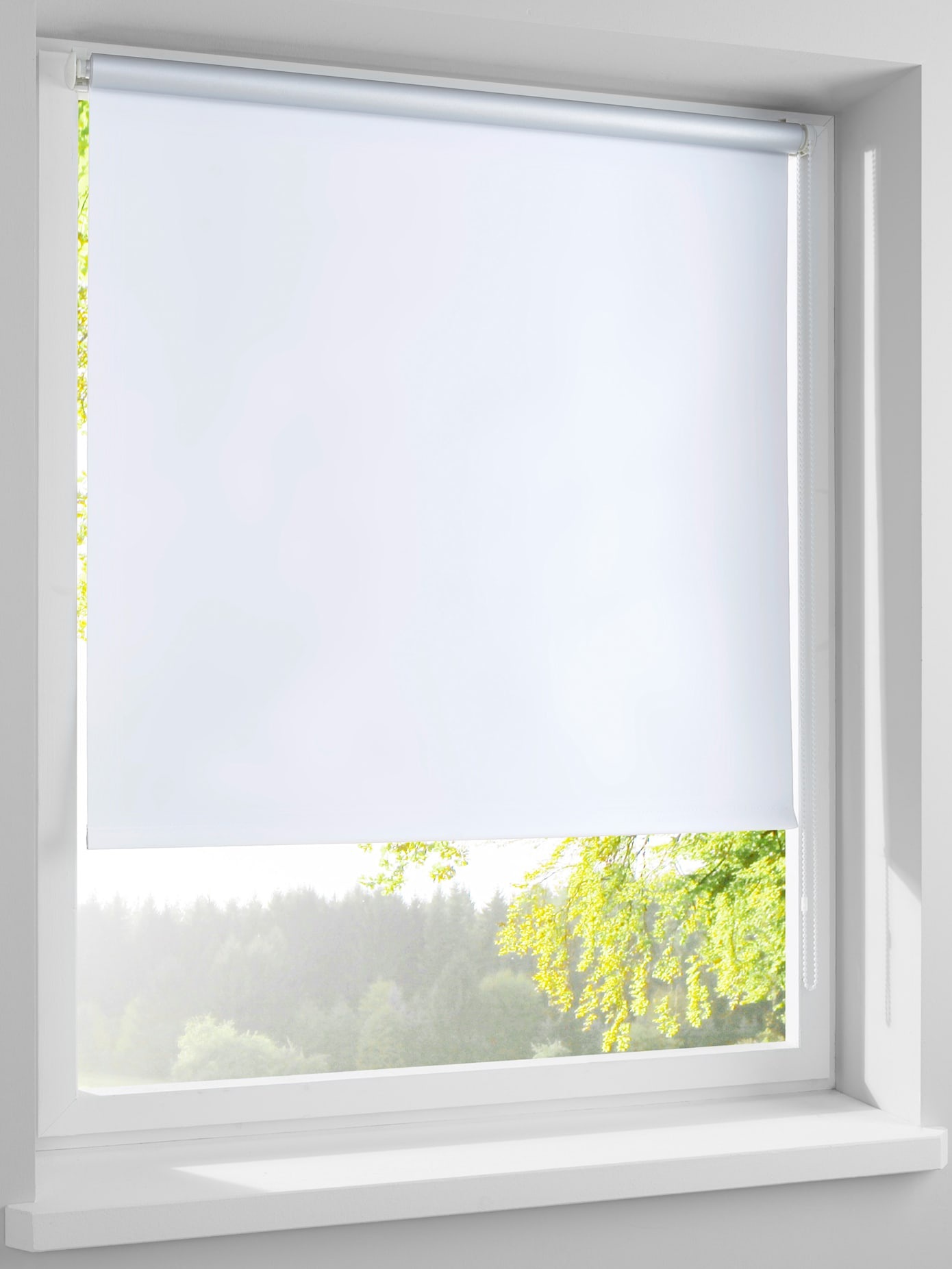heine home Jalousie