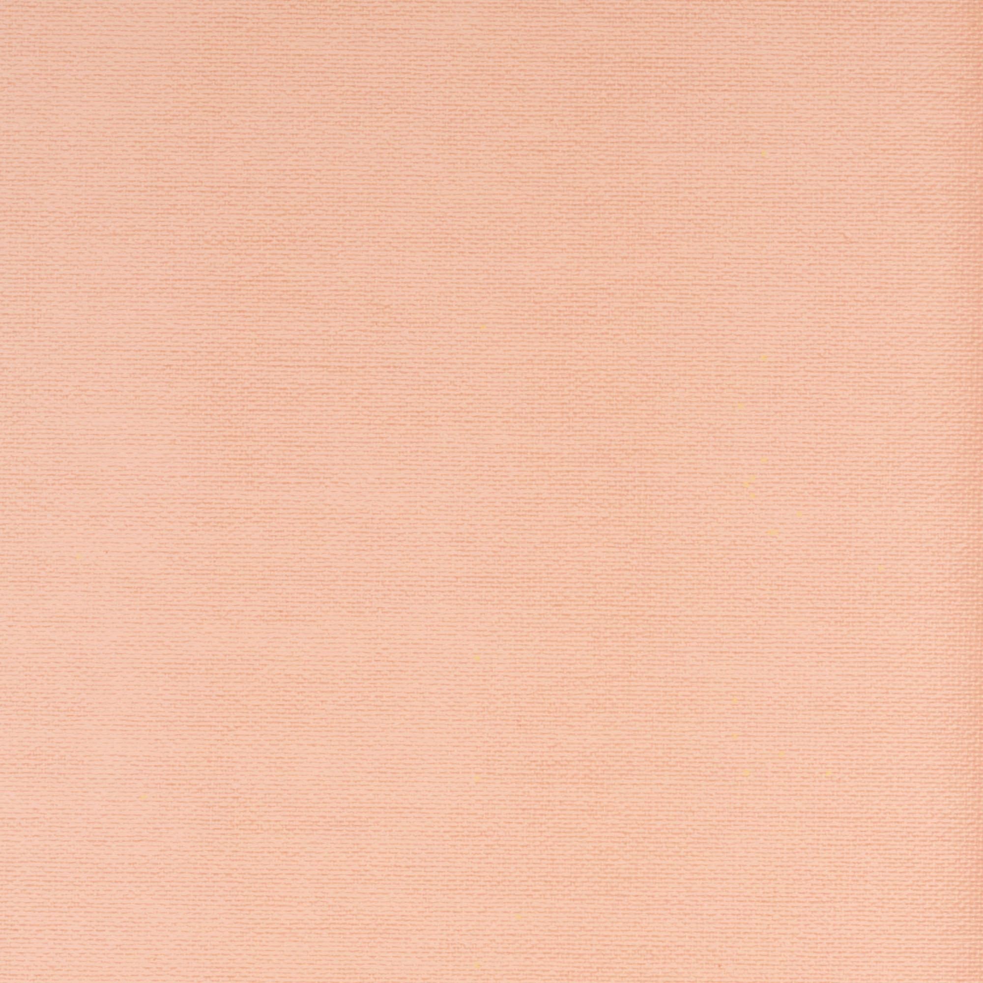 Liedeco Schiebegardine Klettband 1 Stk. tlg. HxB: 245x60, ohne Paneelwagen günstig online kaufen