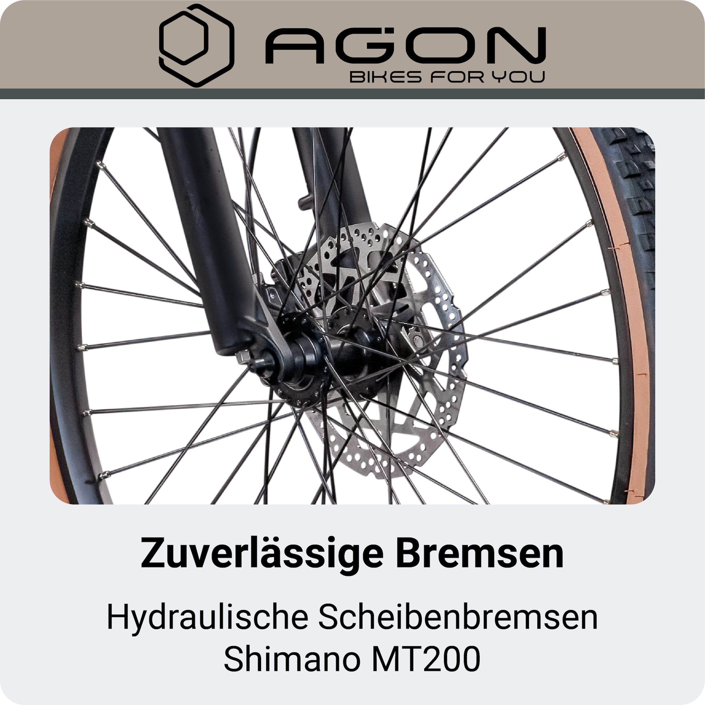 AGON »Alpha« 10 Gang Shimano Deore SGS T6000 Schaltwerk Kettenschaltung Heckmotor 250 W E Bike Mountainbike Herren oder Damen 160 - 185 cm