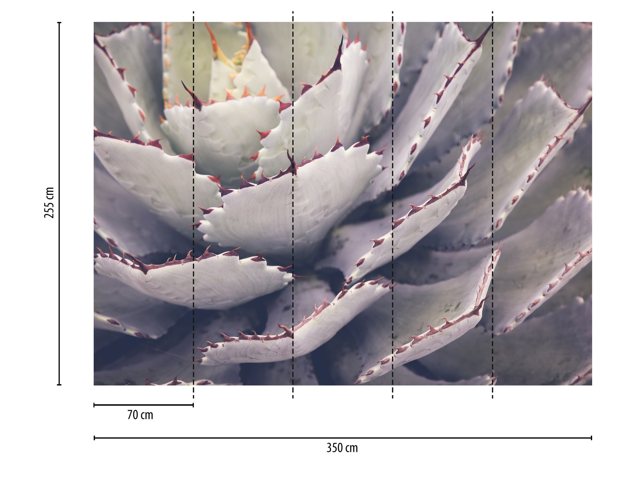 Thumbnail - A.S. Création Vliestapete "Fototapete Sukkulente Makroaufnahme Violett Grau" matt strukturiert
