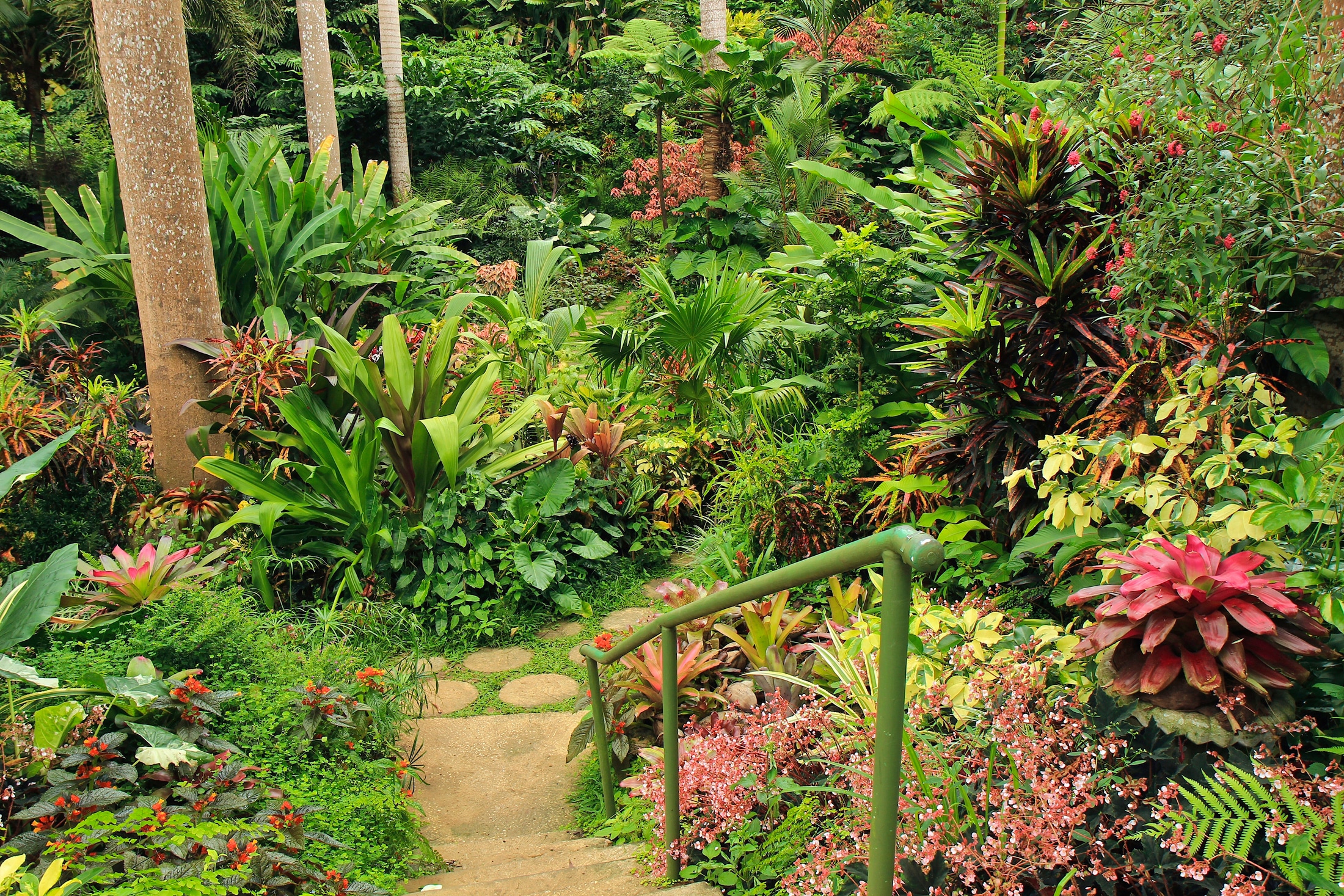 Papermoon "GARTEN-BLUMEN BÄUME PFLANZEN PARK STEINE WALD BLÜTEN"