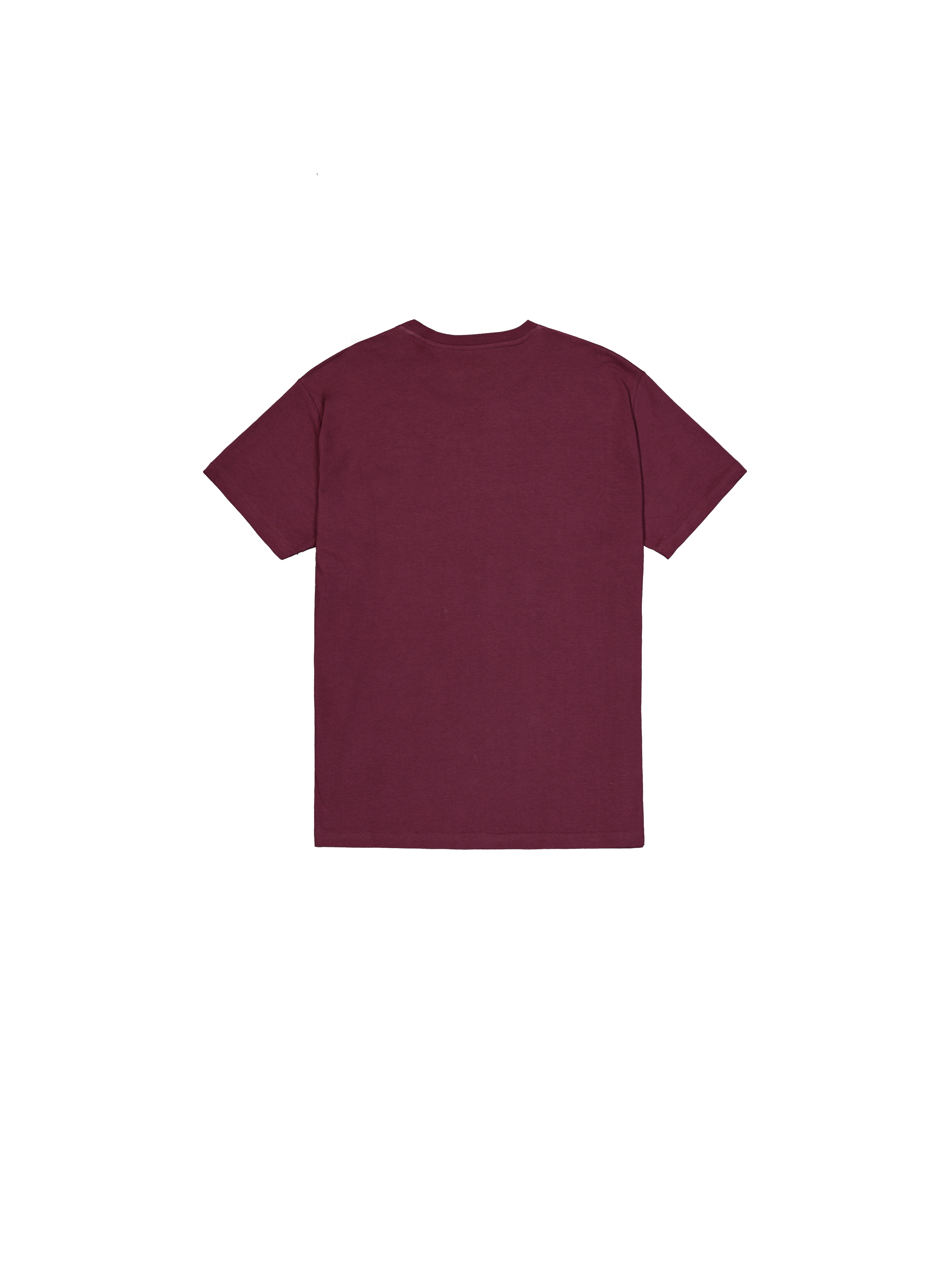 Alpha Industries Rundhalsshirt »BASIC T SMALL LOGO«