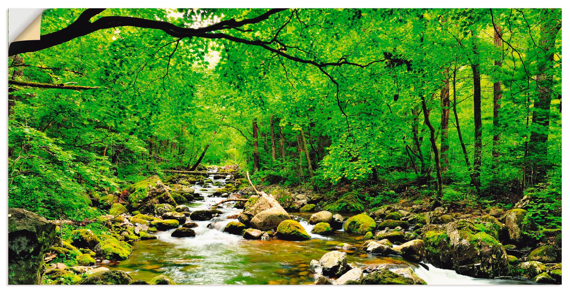 »Herbstwald Poster Artland oder Smolny«, Alubild, Wandaufkleber Leinwandbild, als in Größen Wandbild | (1 versch. Wald, St.), bestellen Fluss BAUR