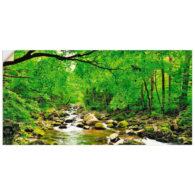 Artland Wandbild »Herbstwald Fluss Smolny«, Wald, (1 St.), als Alubild,  Leinwandbild, Wandaufkleber oder Poster in versch. Größen bestellen | BAUR