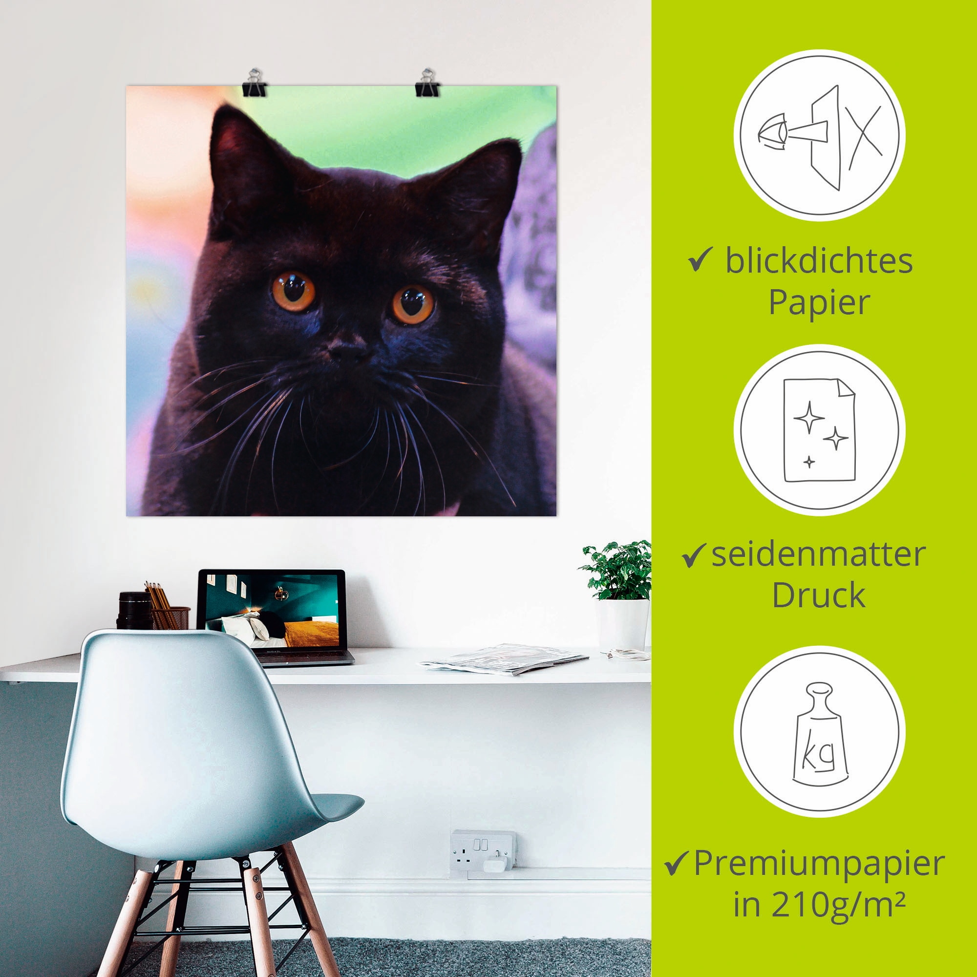 Artland Wandbild »Schwarze Britisch Kurzhaarkatze«, Haustiere, (1 St.), als Poster in verschied. Größen
