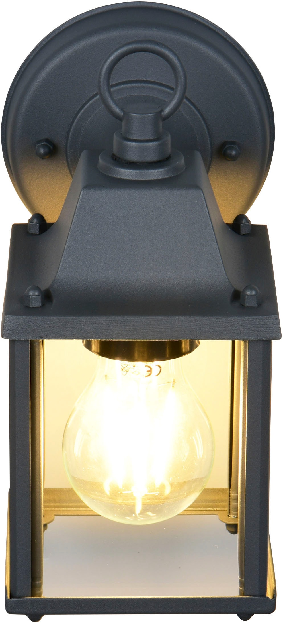 TRIO Leuchten Außen-Wandleuchte »MIRANDE, Hauswand Leuchte Laterne mit Glasschirm, exkl 1x E27 max 40W«, 1 flammig, Leuchtmittel E27 | Leuchtmittel wechselbar, IP23, Outdoor Wandlampe für wechselbare Leuchtmittel Höhe 23cm