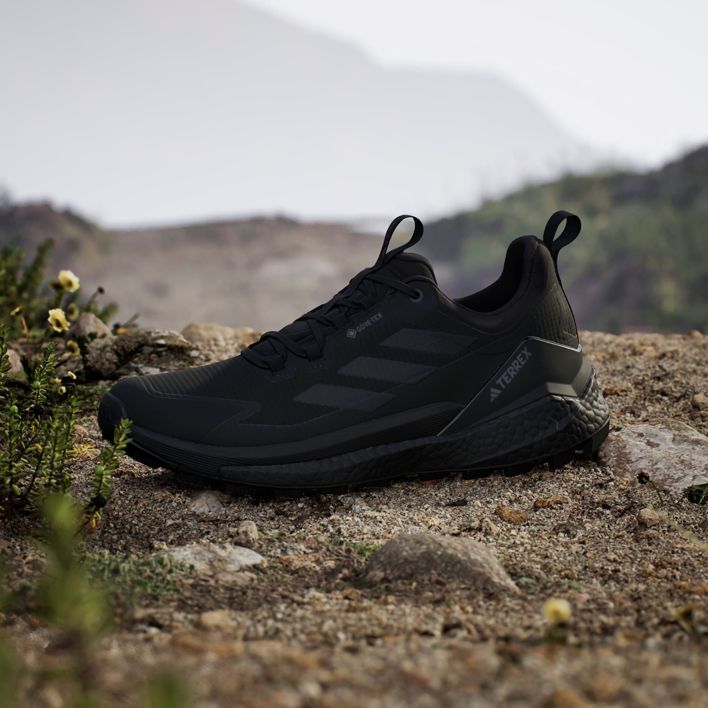 adidas TERREX Wanderschuh »TERREX FREE HIKER 2.0 LOW GORE-TEX«, wasserdicht