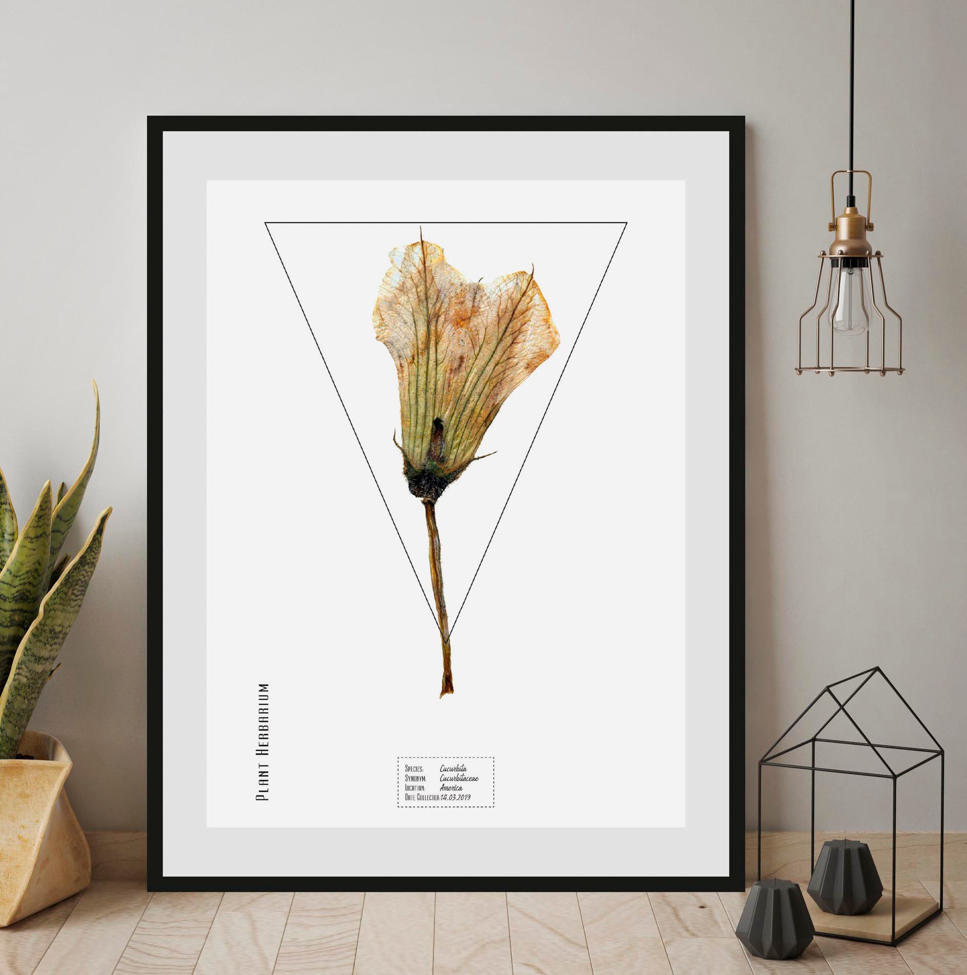 queence Bild "Cucurbita", Pflanzen-Pflanzenbilder-Schriftzug, (1 St.), HD P günstig online kaufen