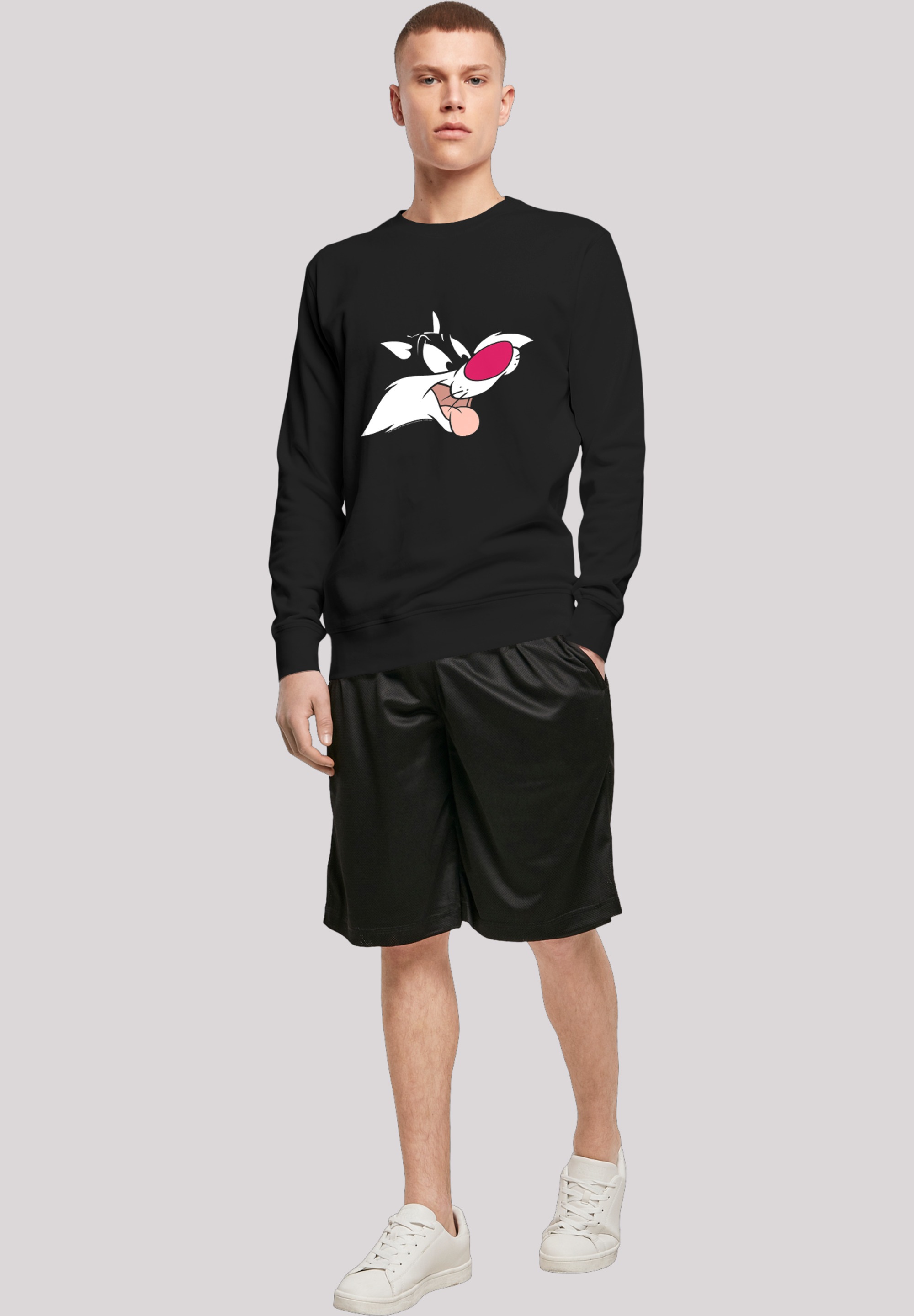 F4NT4STIC Rundhalspullover »F4NT4STIC Herren«, (1 tlg.)