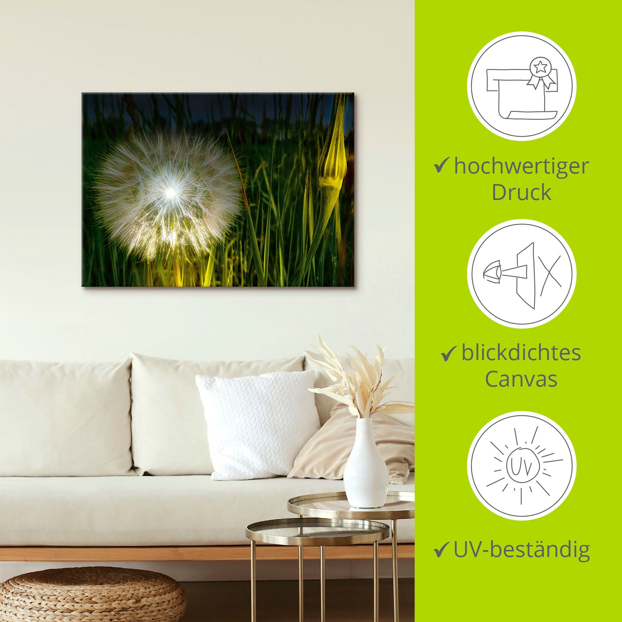 Artland Wandbild »Pusteblume Nachts beleuchtet.«, Blumenbilder, (1 St.), als Alubild, Leinwandbild, Wandaufkleber oder Poster in versch. Größen