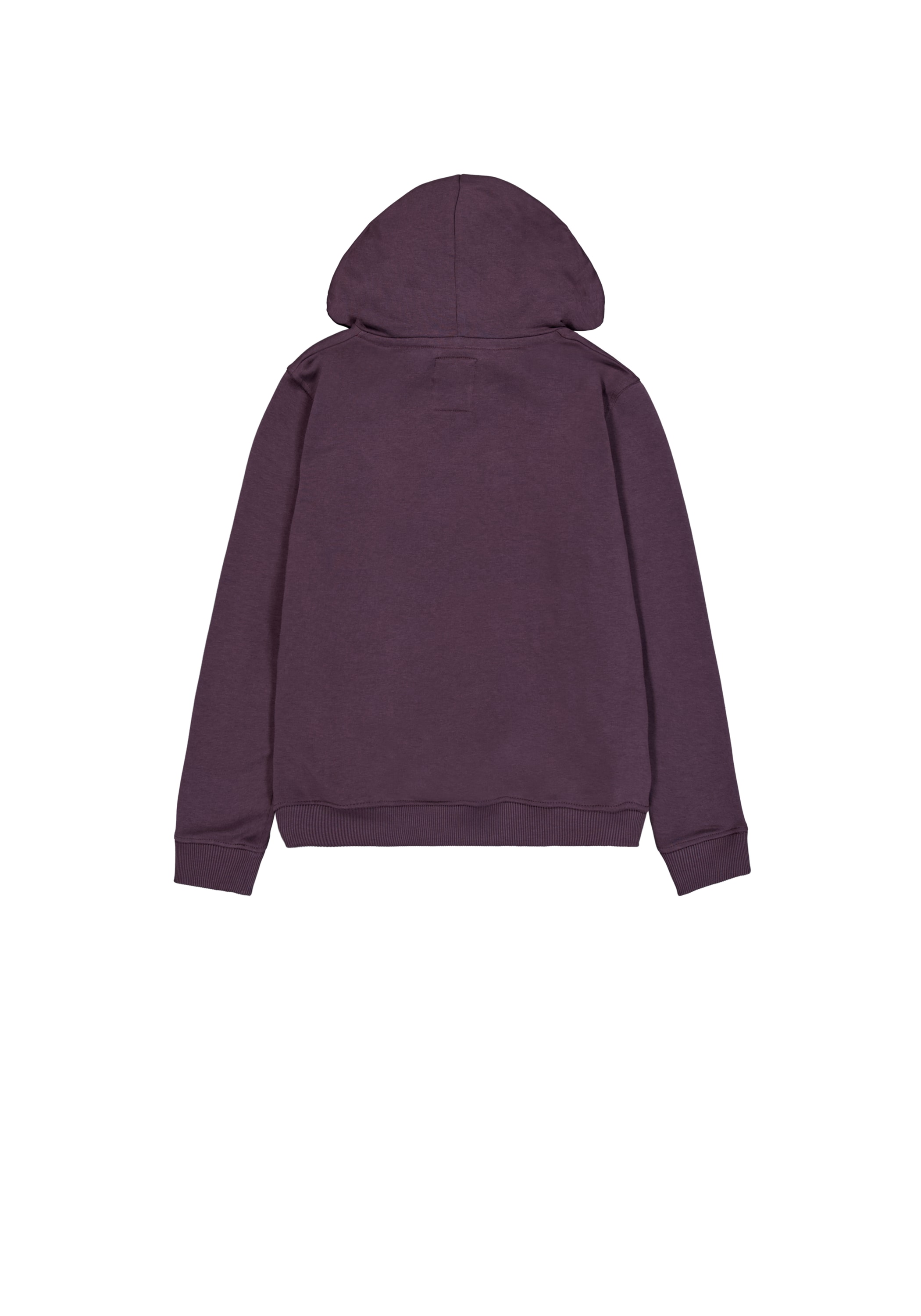 Alpha Industries Hoodie »New Basic Hoodie BL W«