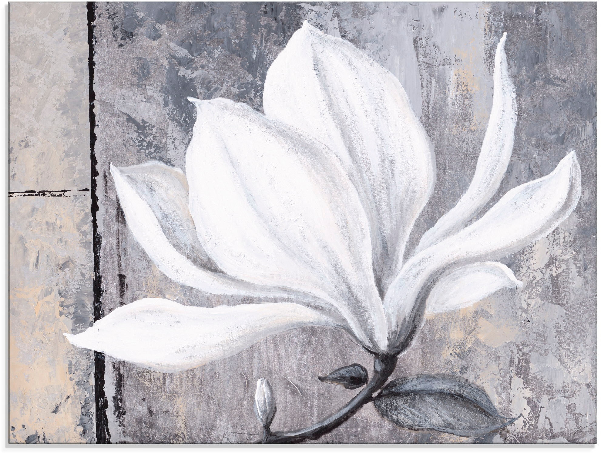 Artland Glasbild "Klassische Magnolie" Blumen 1 Stk. tlg. in verschiedenen Größen