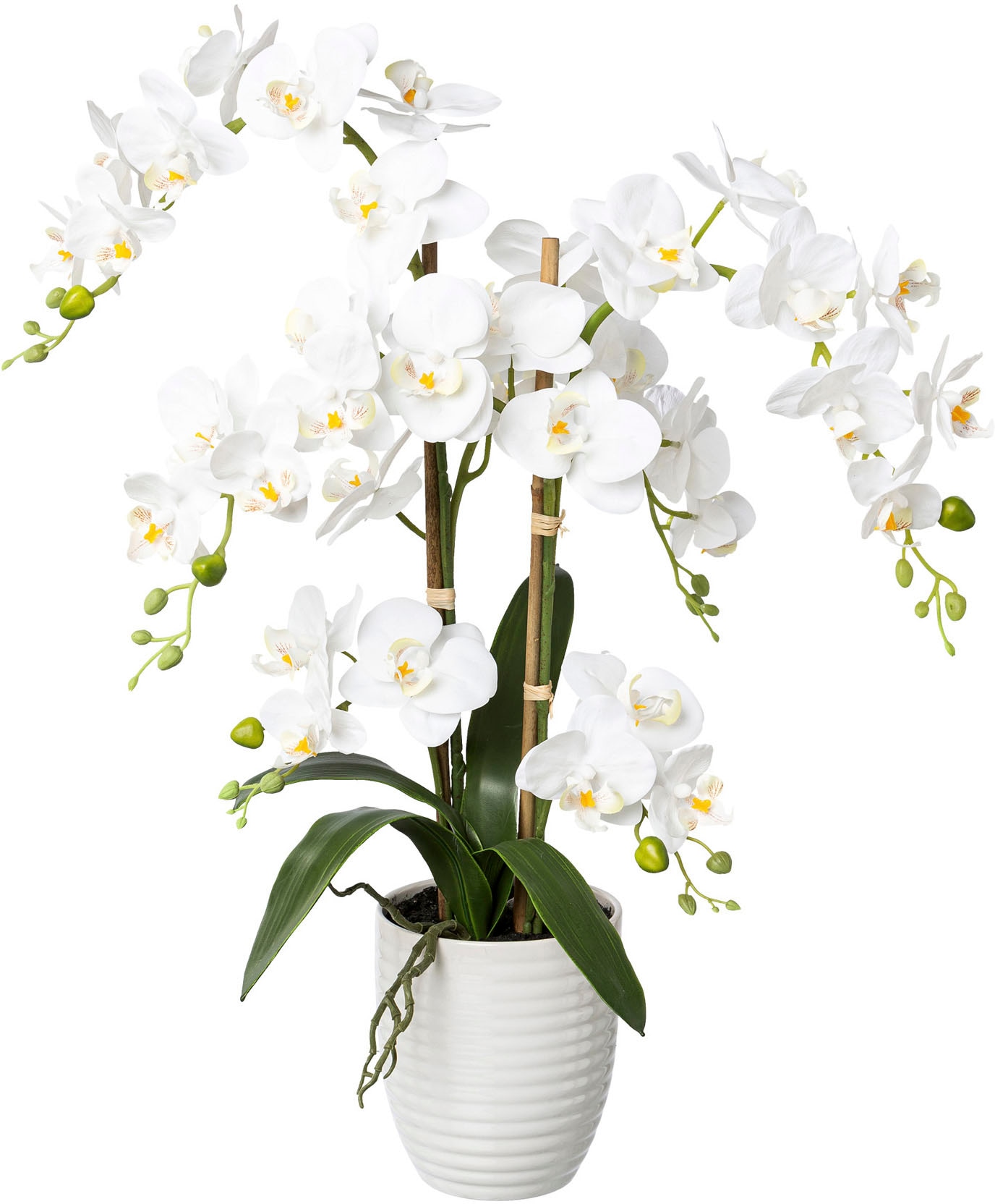 Kunstorchidee »Deko-Orchidee Phalaenopsis im Keramiktopf«