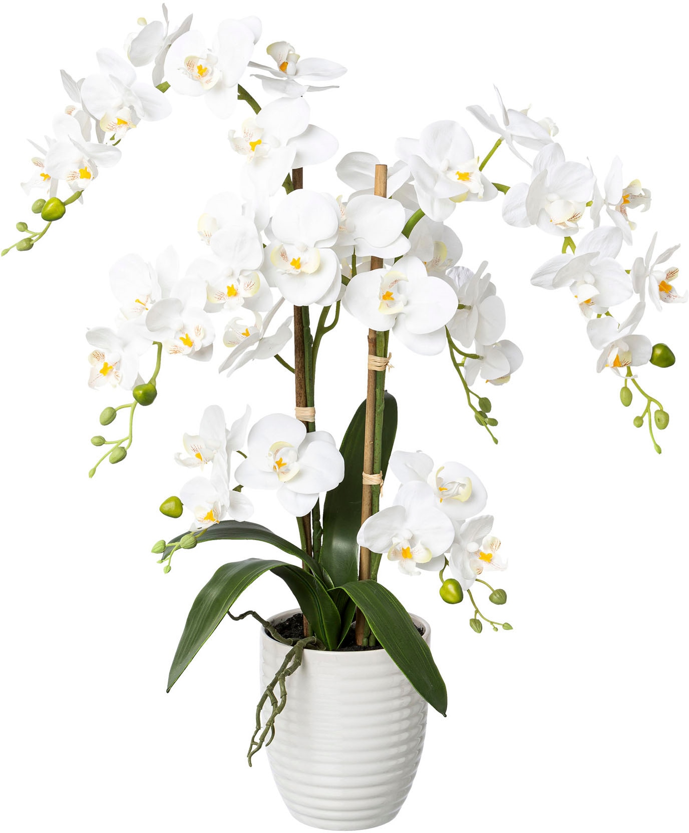 Creativ green Kunstorchidee "Deko-Orchidee Phalaenopsis im Keramiktopf" günstig online kaufen