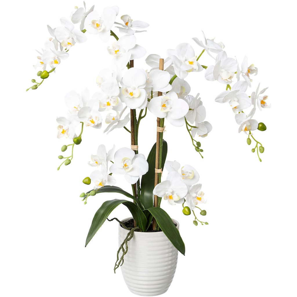 Creativ green Kunstorchidee »Deko-Orchidee Phalaenopsis im Keramiktopf«, (1 St.)