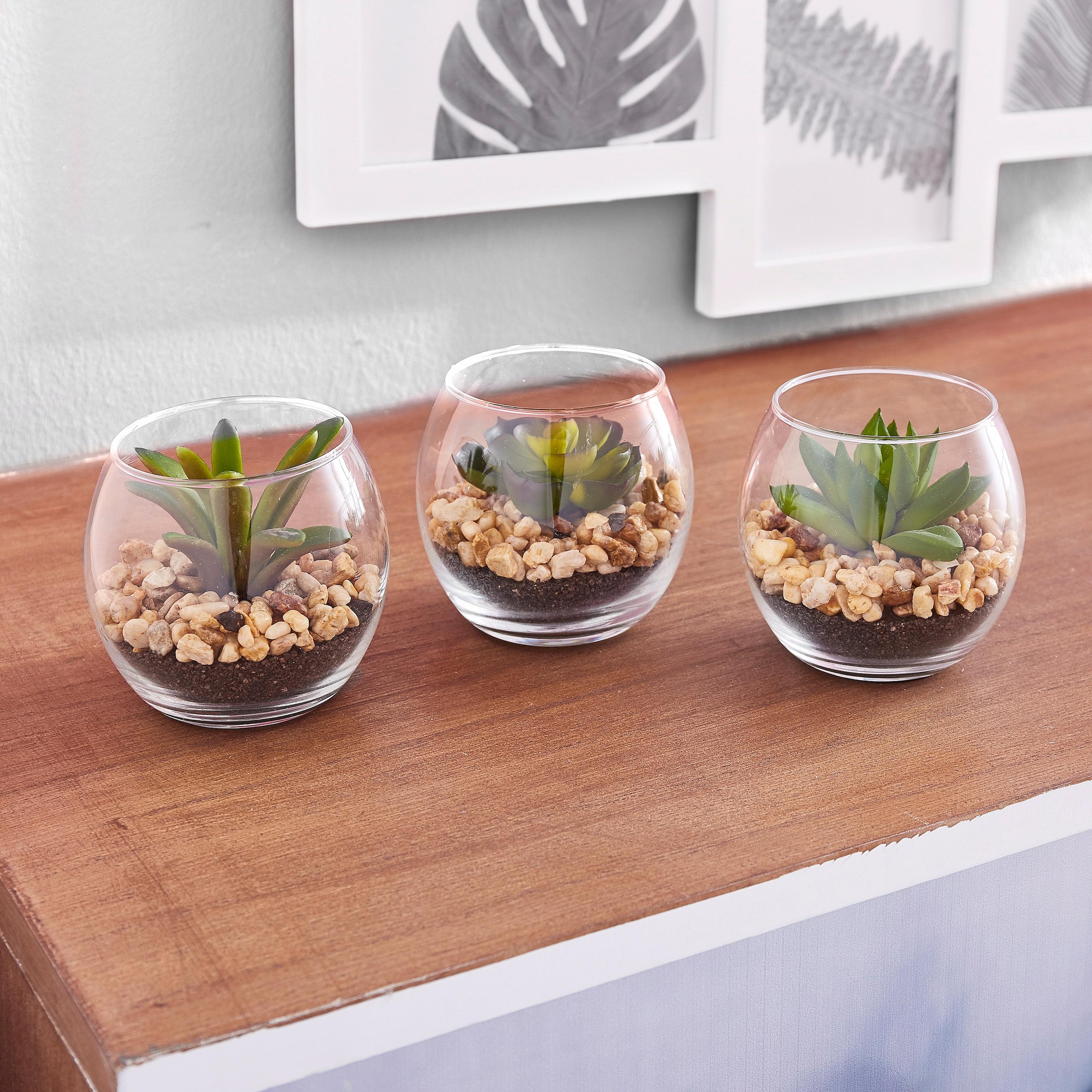 Creativ green Künstliche Zimmerpflanze »Mini-Sukkulenten«, im 6er BAUR kaufen | Set Tontopf