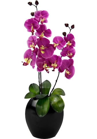 I.GE.A. Kunstpflanze »Phalaenopsis in Vase«