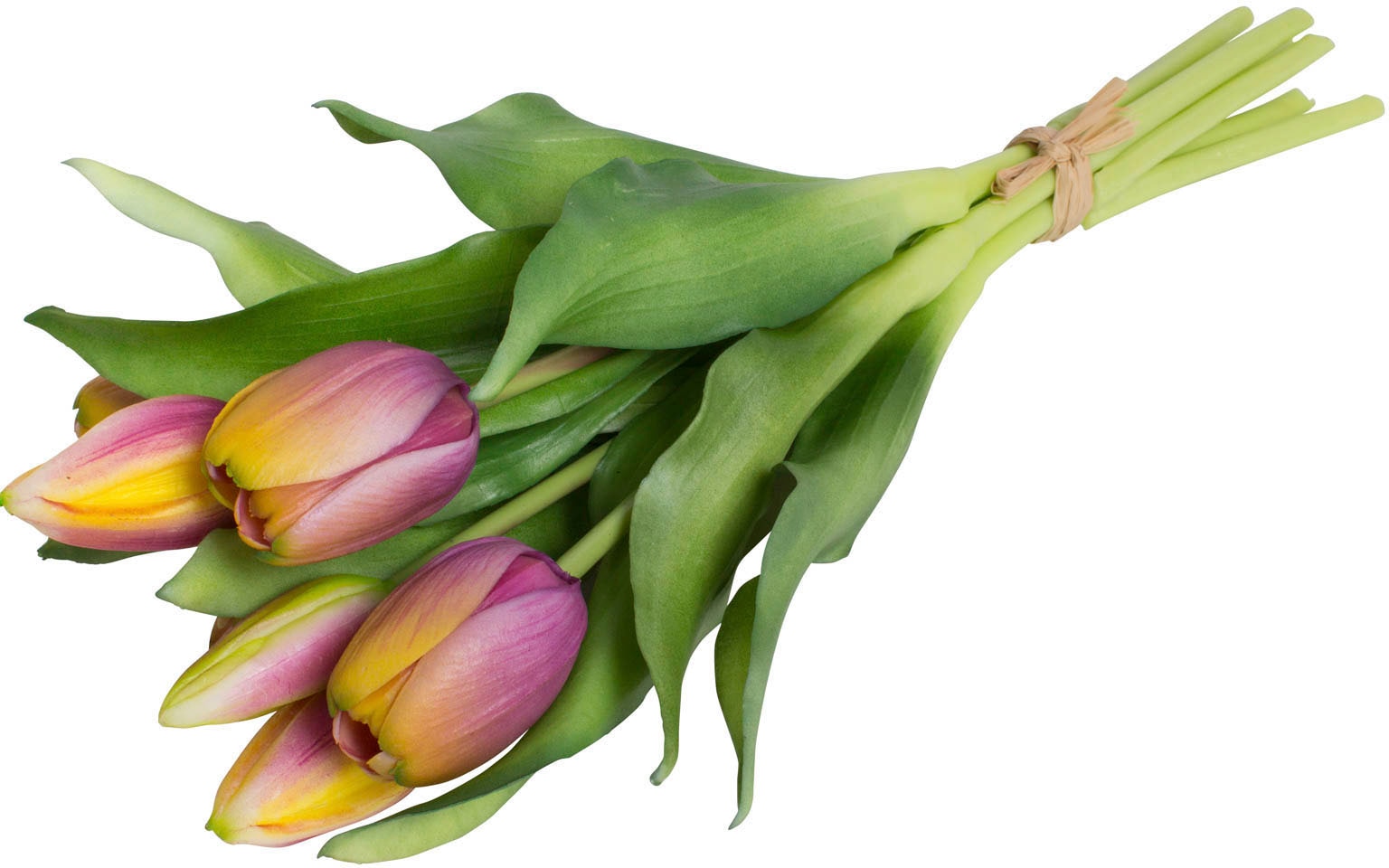 Botanic-Haus Kunstblume "Willa", Tulpenbündel im 7er-Set günstig online kaufen