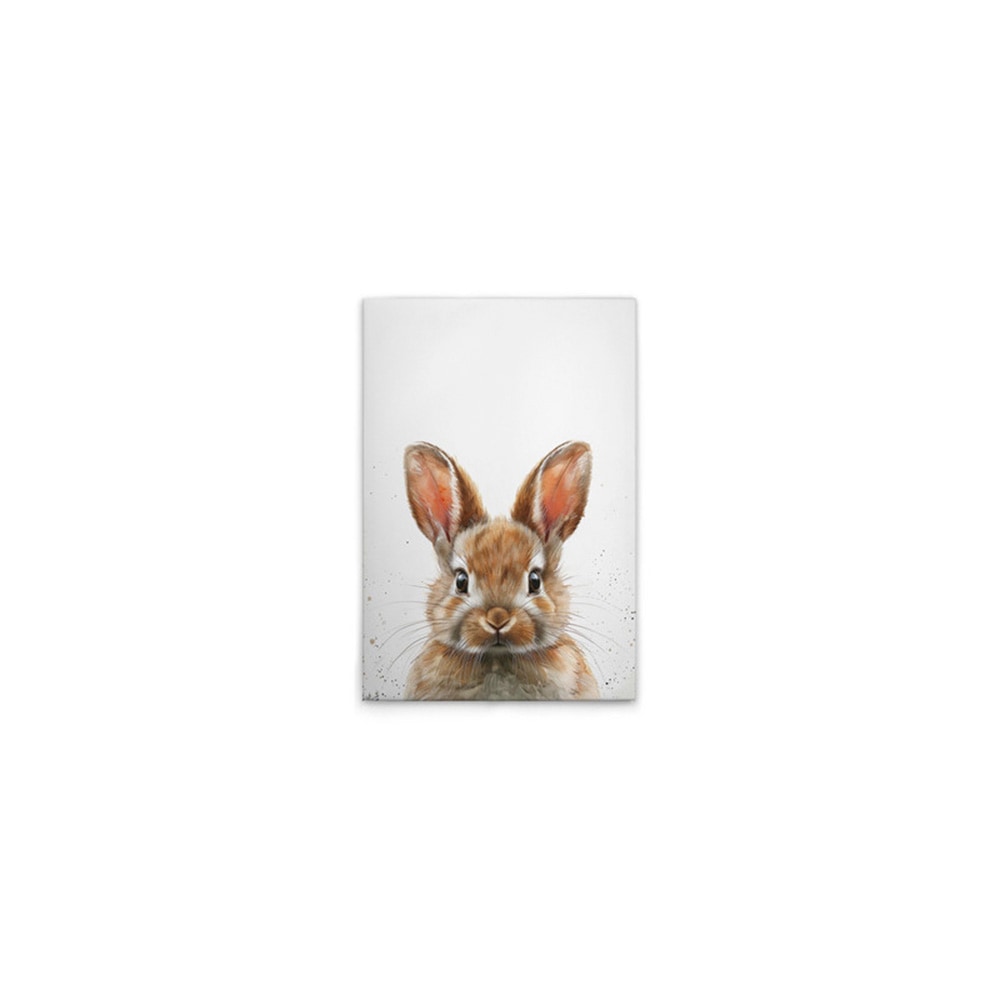 A.S. Création Leinwandbild "Brown Baby Bunny - Wandbild Weiß Braun Keilrahm günstig online kaufen