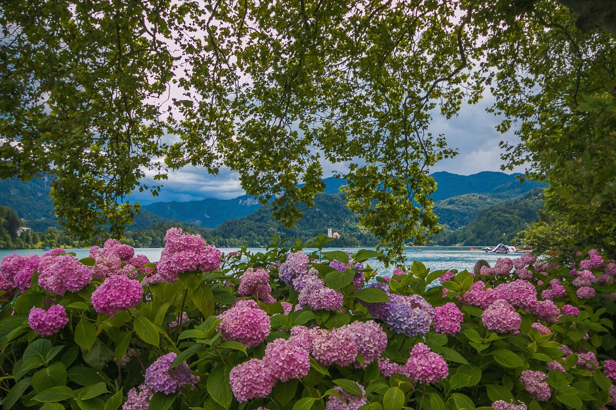Papermoon Fototapete "Blumen am Fluss"