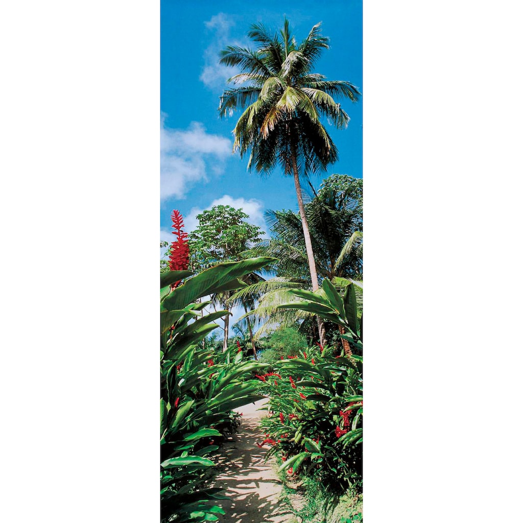 Papermoon Fototapete »Palm Path - Türtapete«, matt